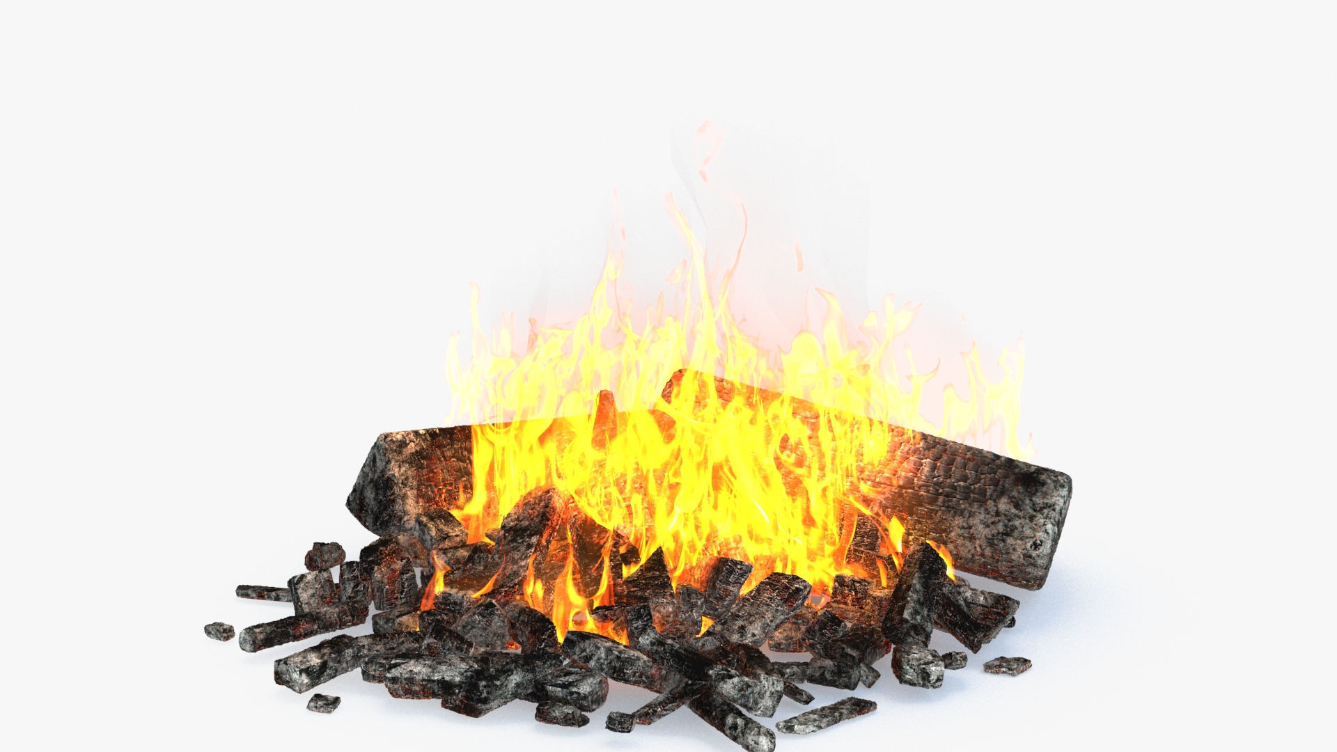 BBQ Campfire Collection _43