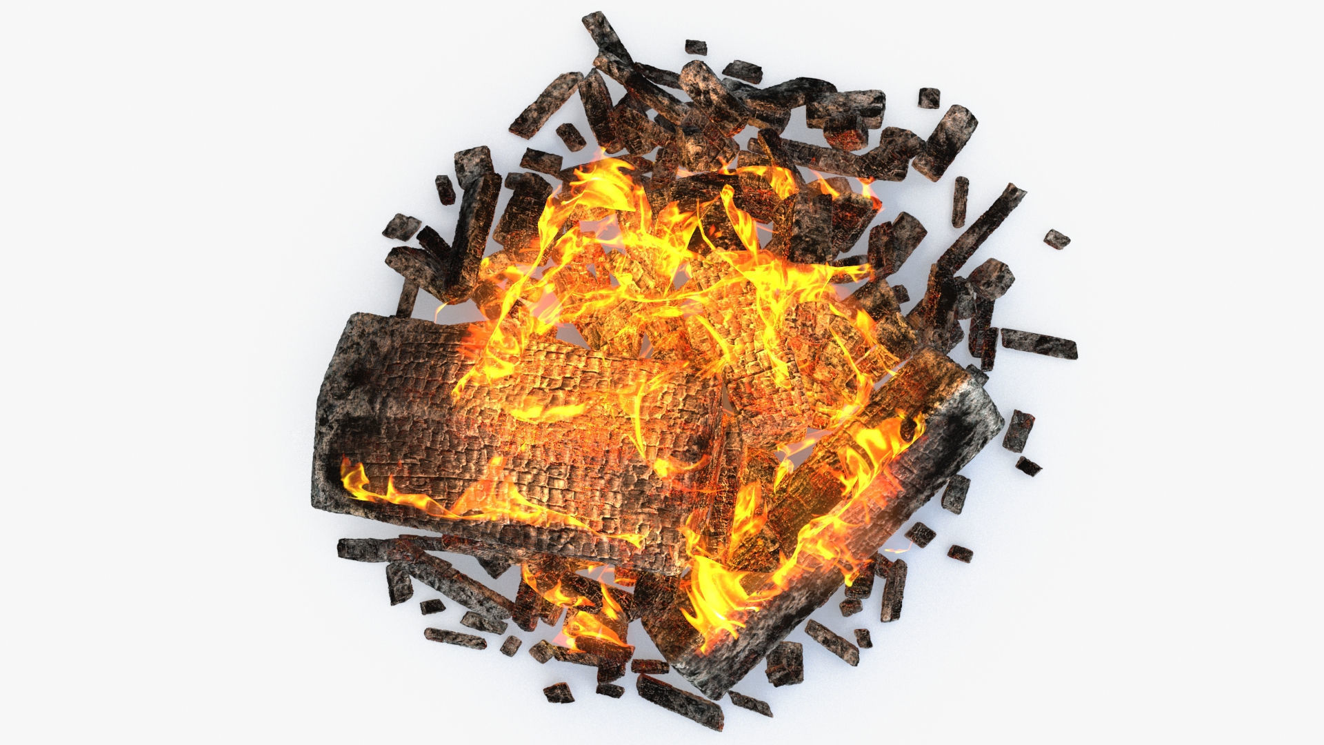 BBQ Campfire Collection _54