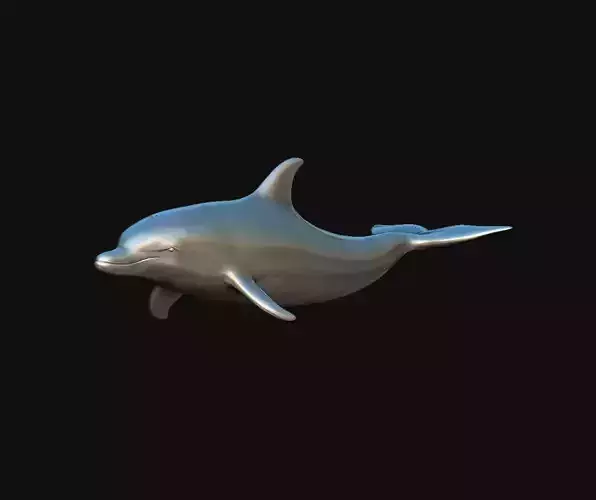 Swimming Dolphin 3D print model