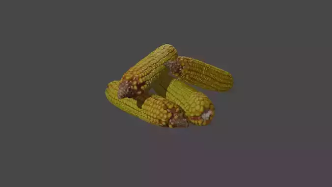 Premium 3D Corn Model Ultra Realistic 50K Triangles 4K Textures