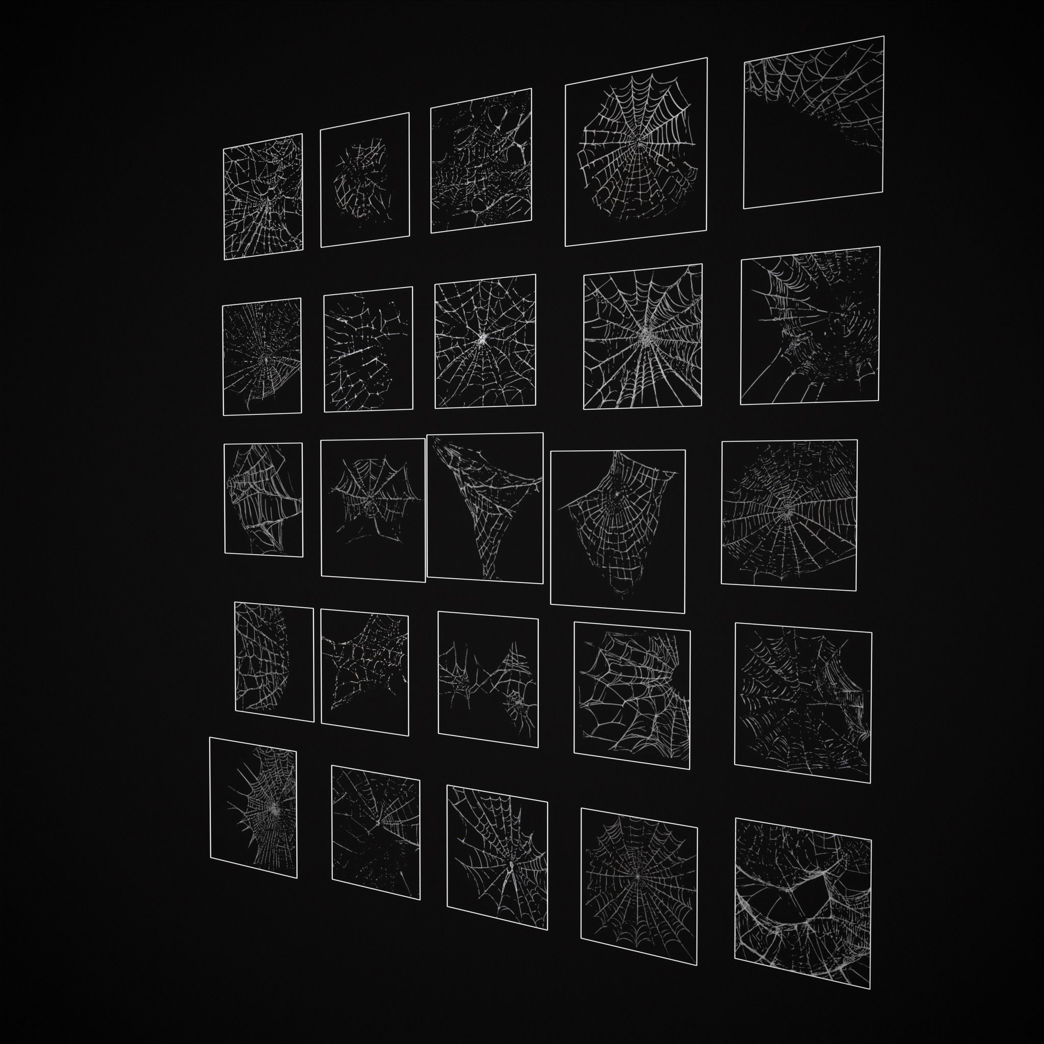 Spider Webs Pack Three Low-poly 3D model_16