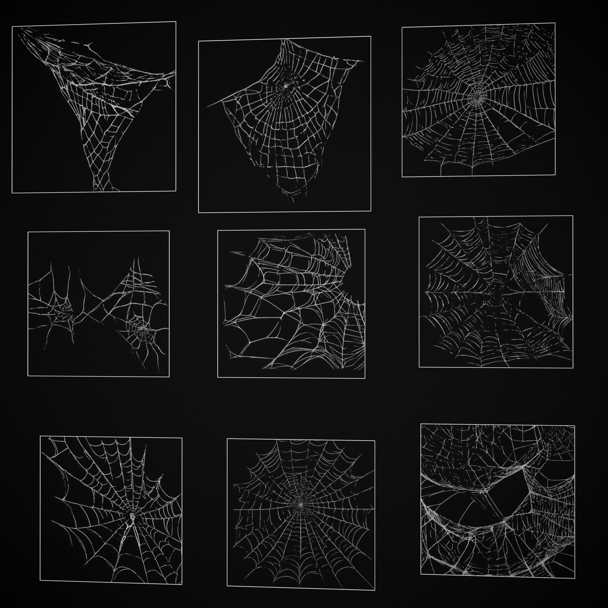 Spider Webs Pack Three Low-poly 3D model_20