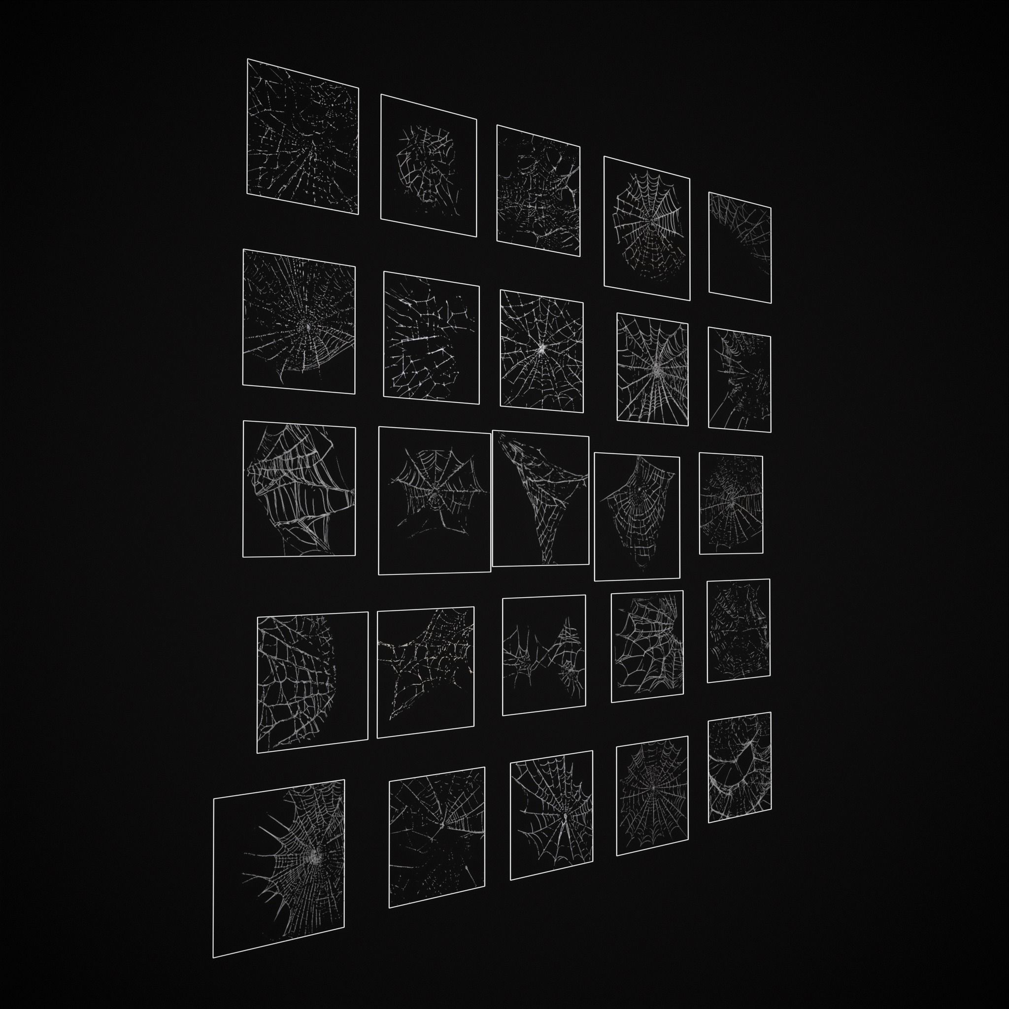 Spider Webs Pack Three Low-poly 3D model_24