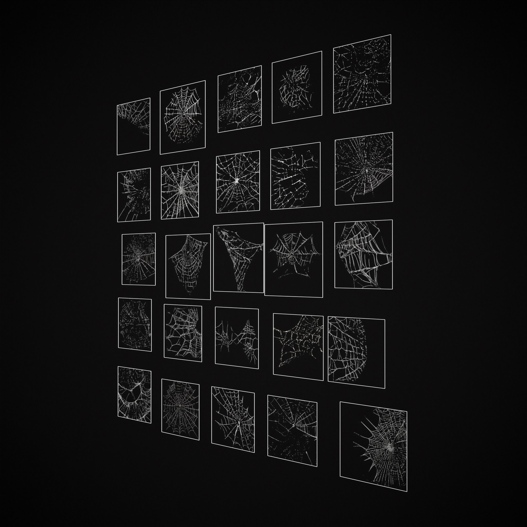 Spider Webs Pack Three Low-poly 3D model_30