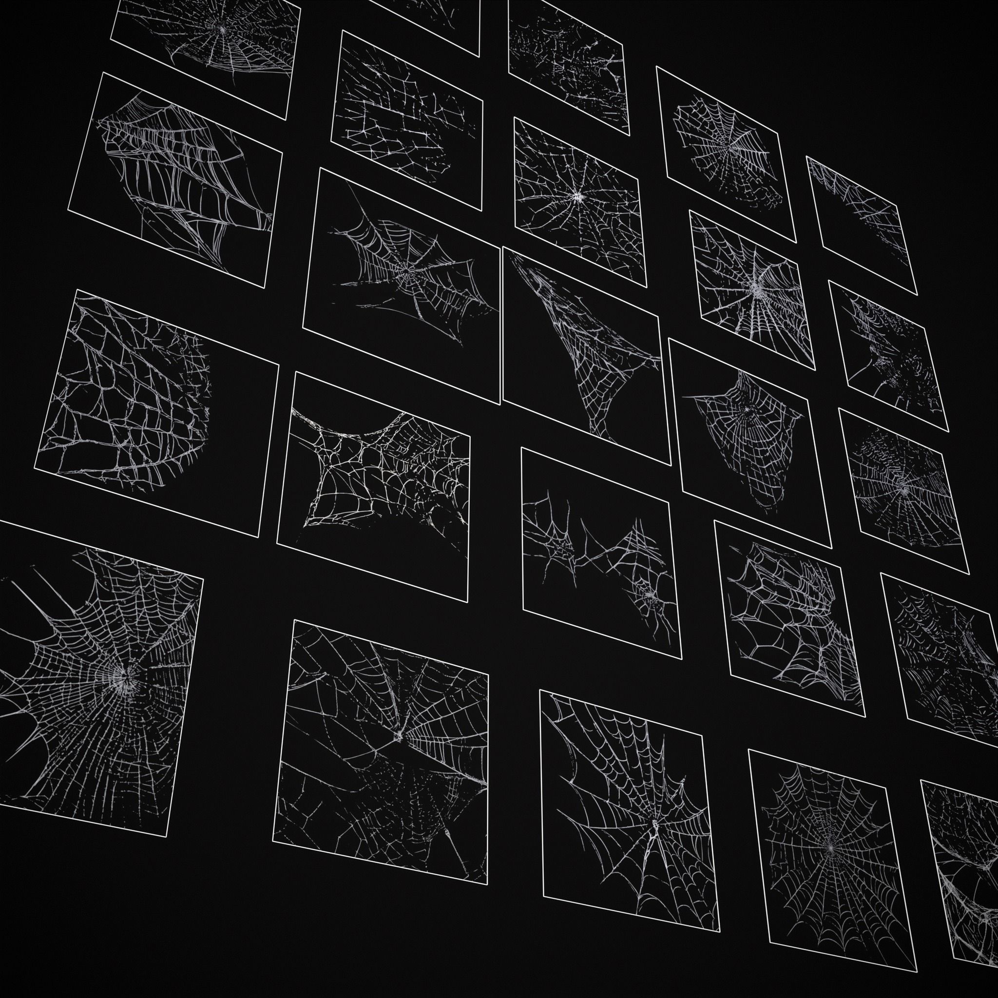 Spider Webs Pack Three Low-poly 3D model_26