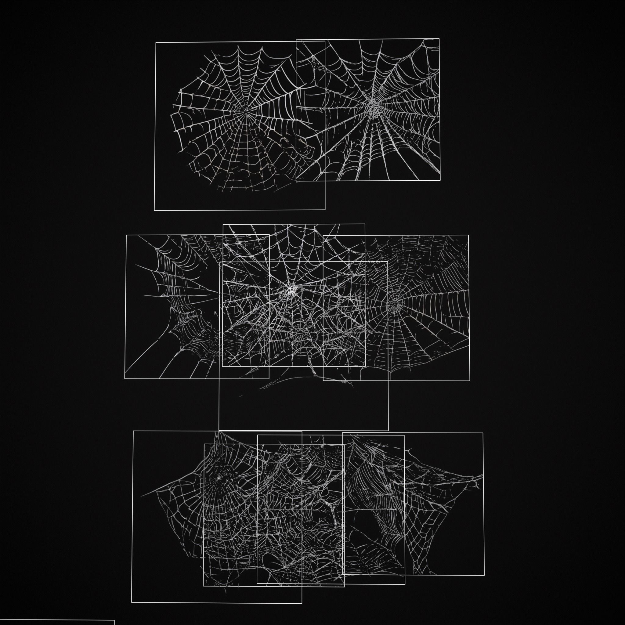 Spider Webs Pack Three Low-poly 3D model_14