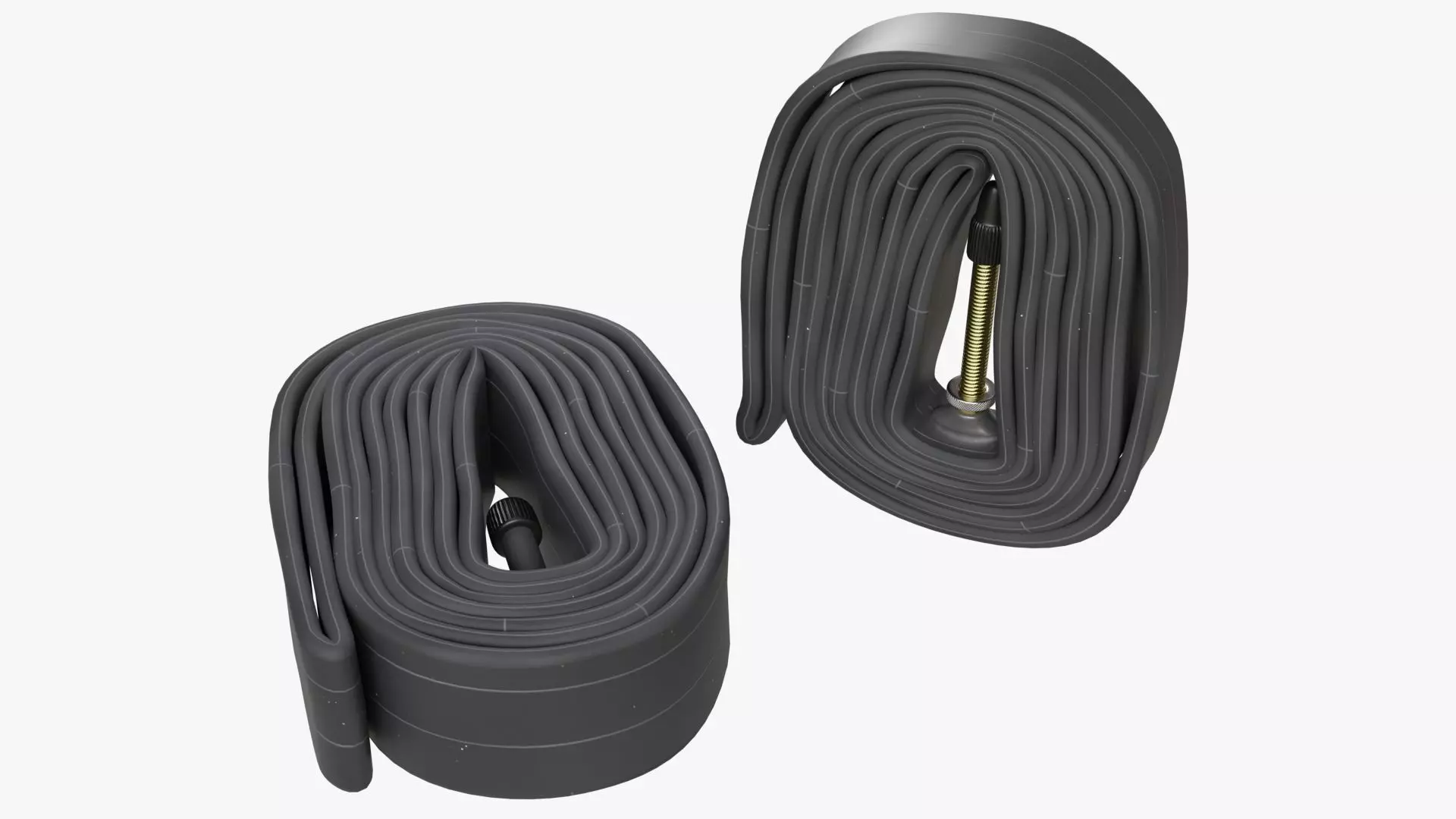 Inner tubes 3D model