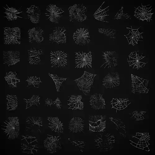Spider Webs Big Pack 3D Model Collection