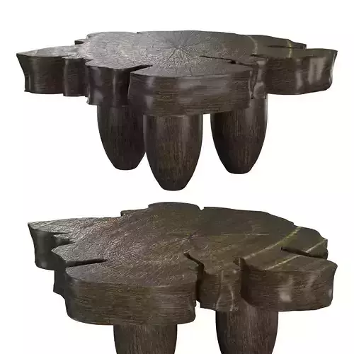 Nobu Burnt Flower Coffee Table