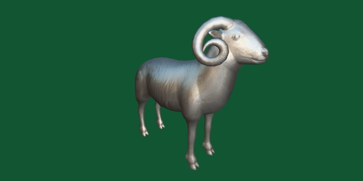 Desert Bighorn Sheep Low-poly 3D model_7