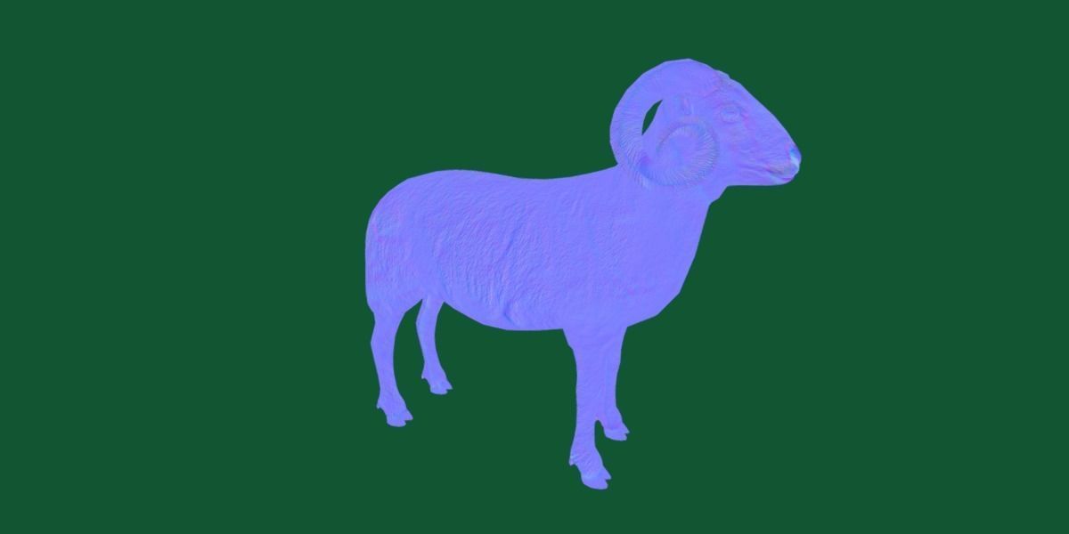 Desert Bighorn Sheep Low-poly 3D model_22