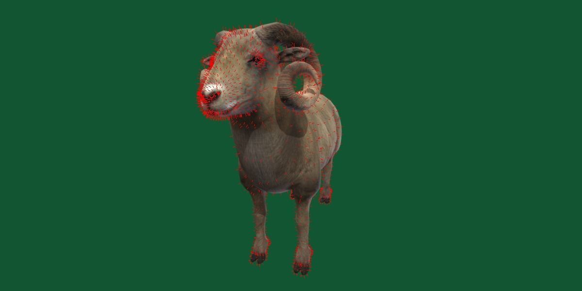 Desert Bighorn Sheep Low-poly 3D model_10