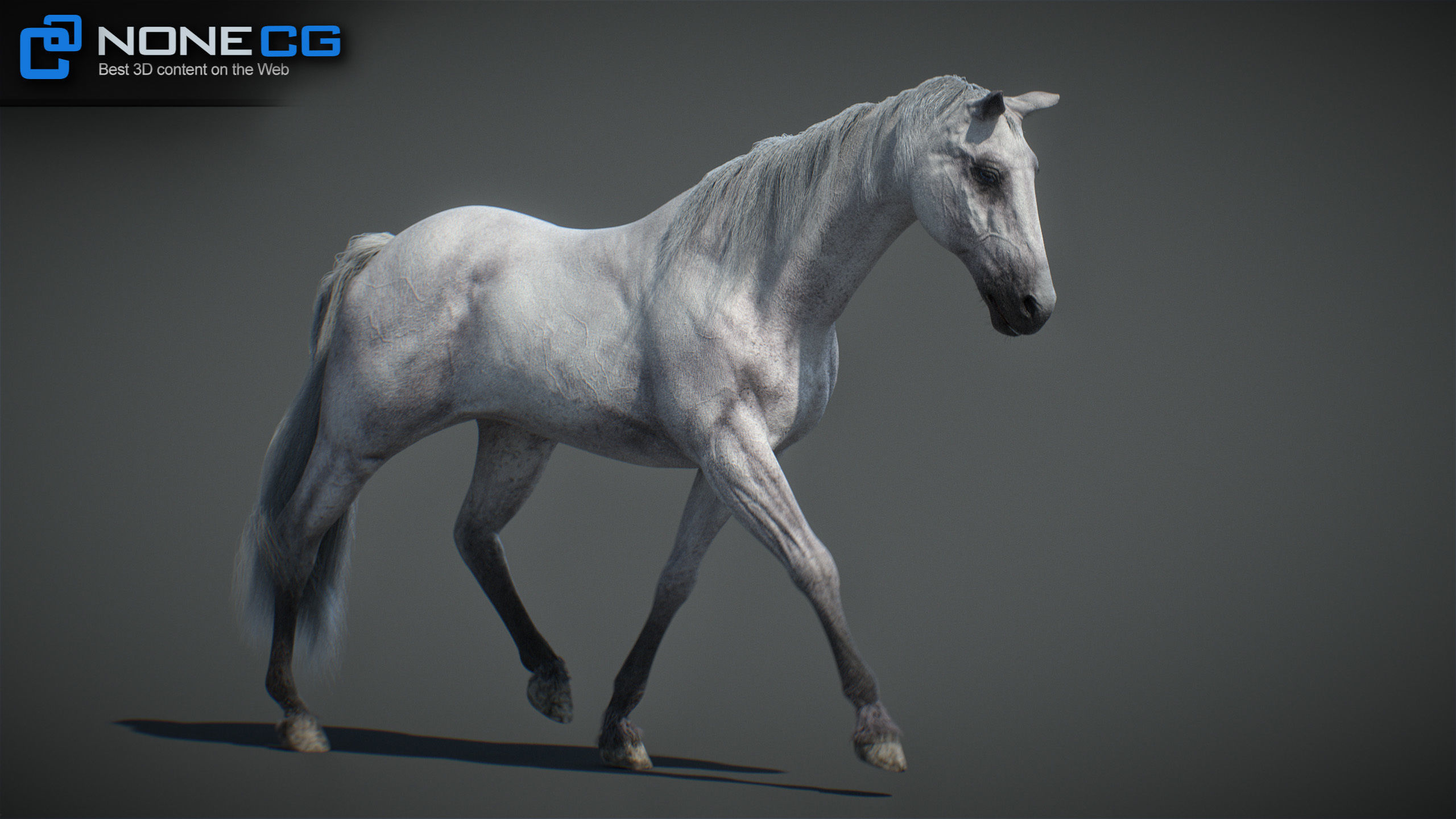 Animated Horses v5 3D model_52