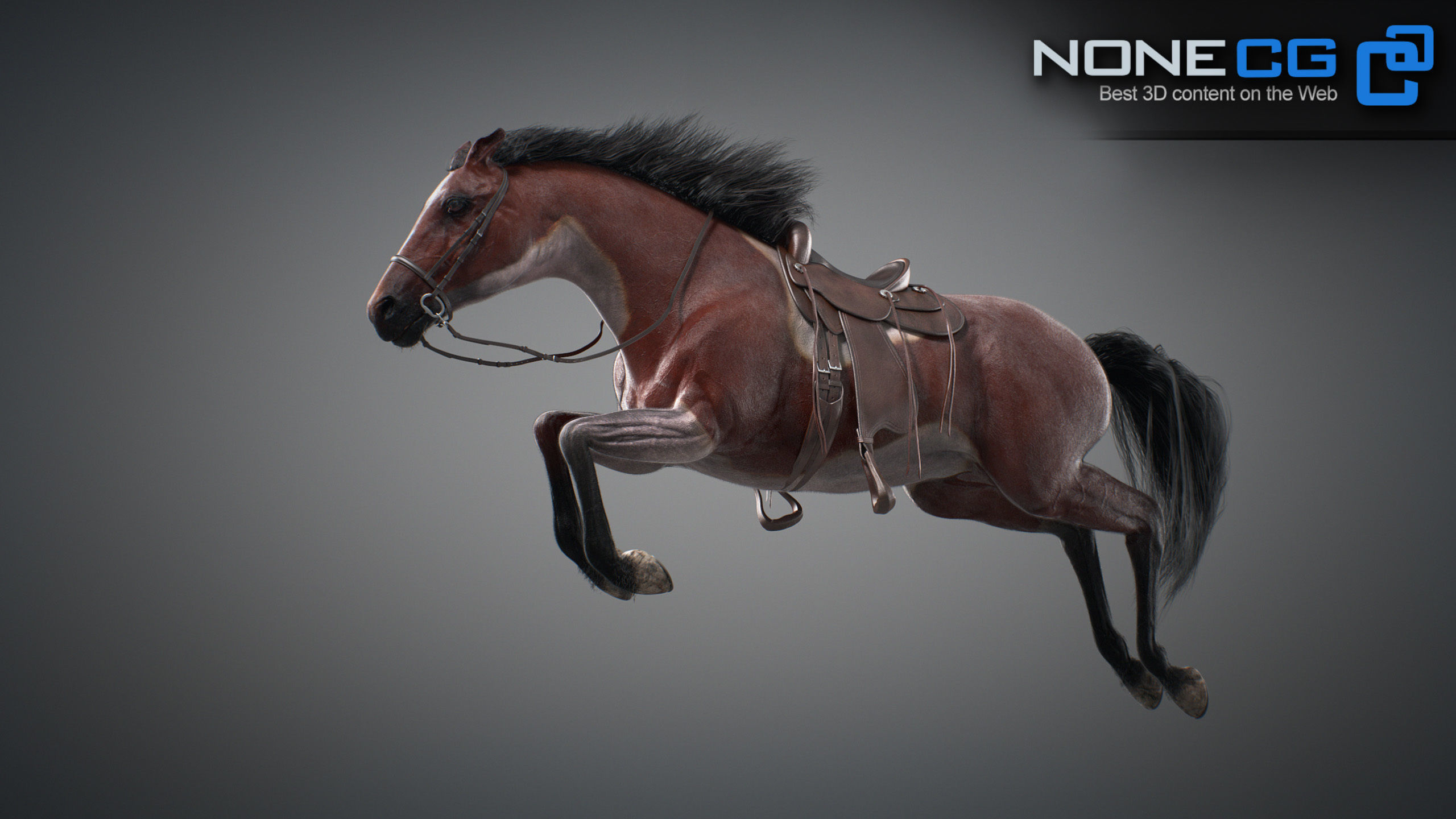 Animated Horses v5 3D model_39