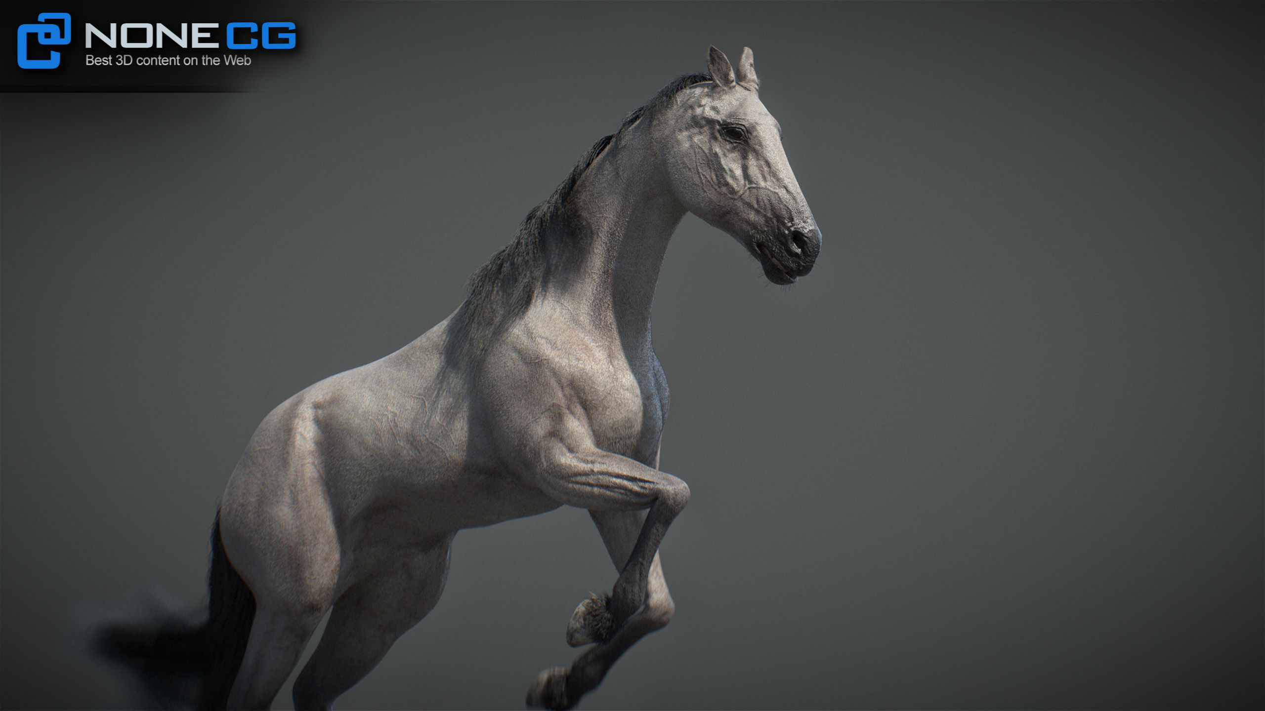 Animated Horses v5 3D model_36