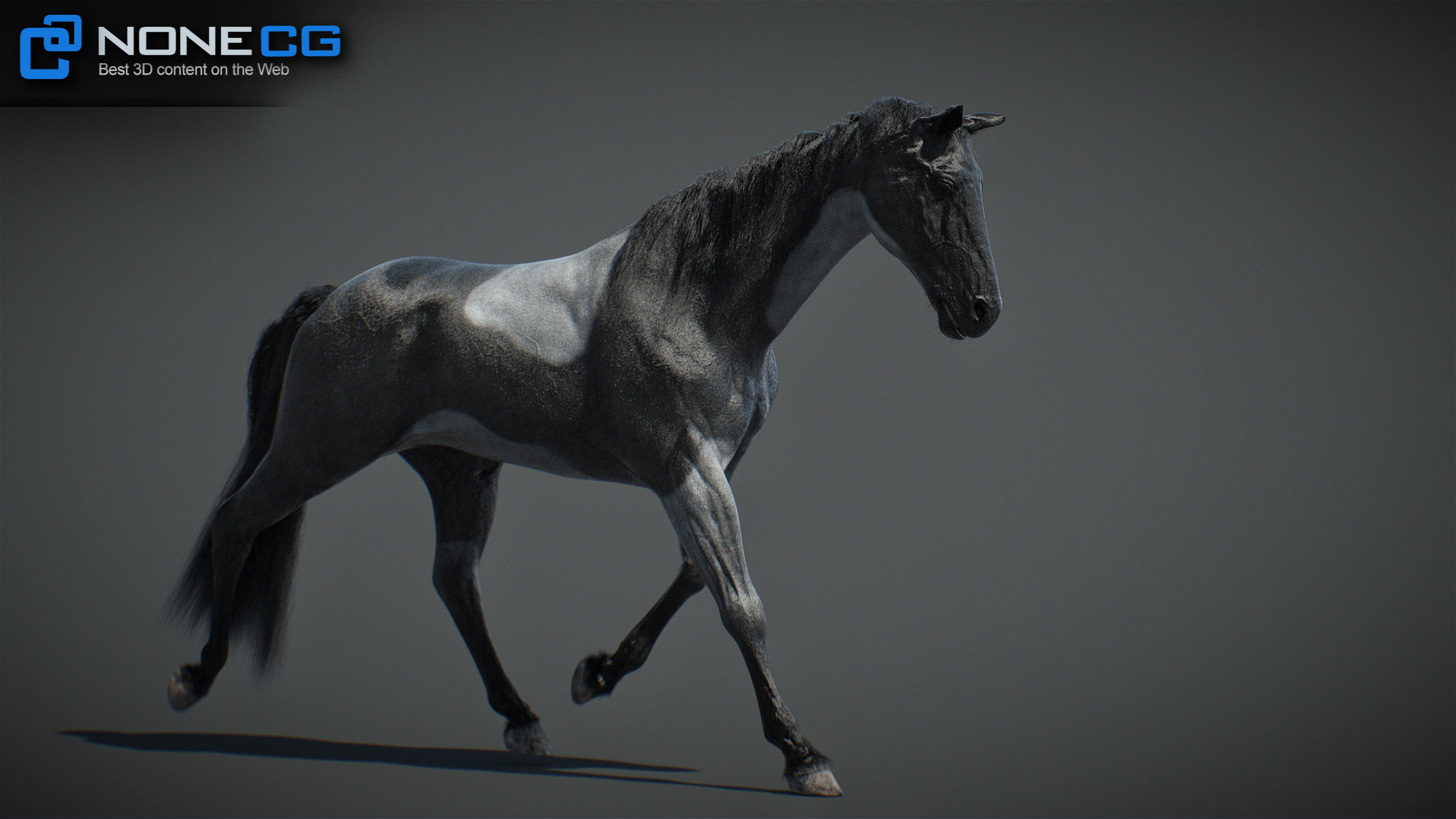Animated Horses v5 3D model_54