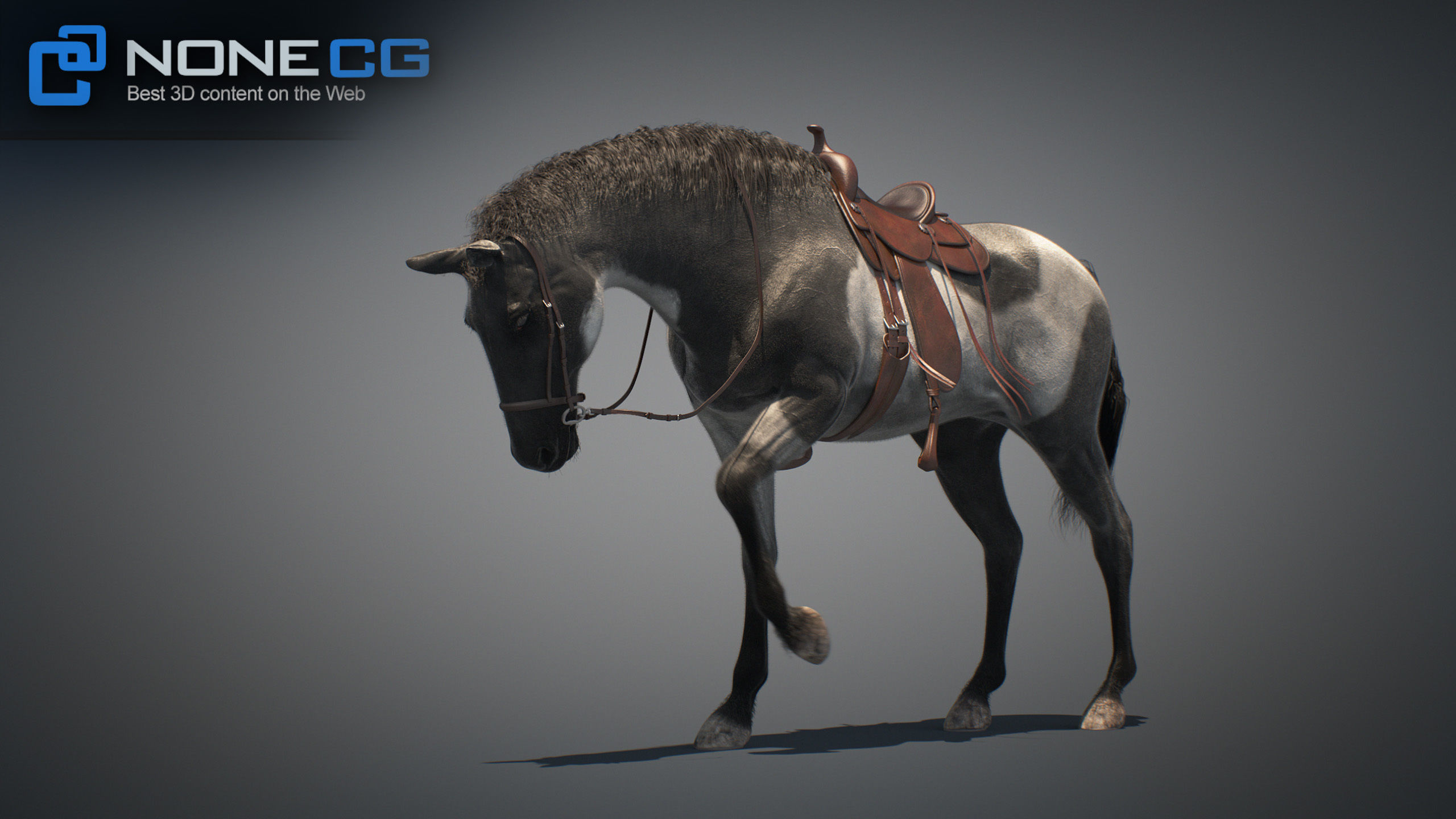 Animated Horses v5 3D model_49