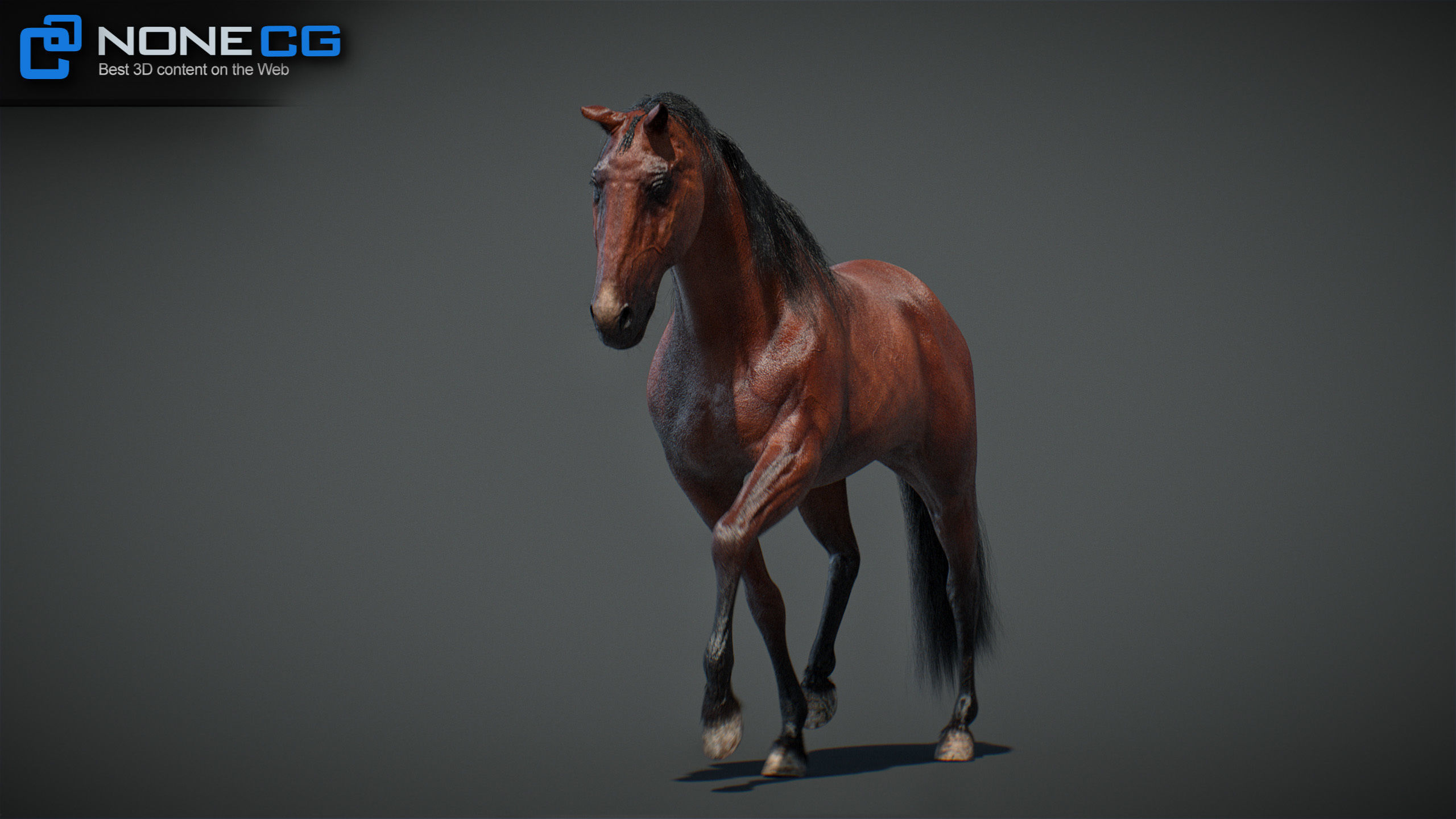 Animated Horses v5 3D model_41