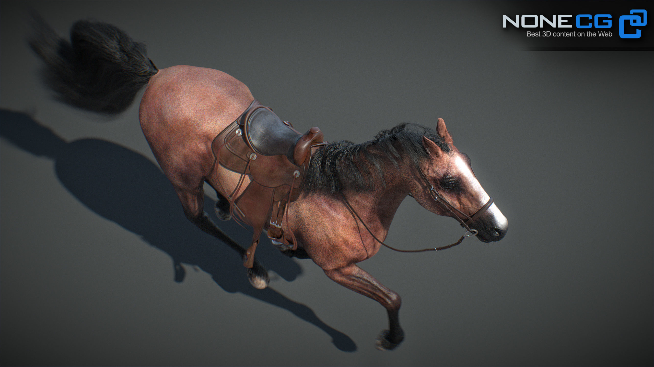 Animated Horses v5 3D model_29