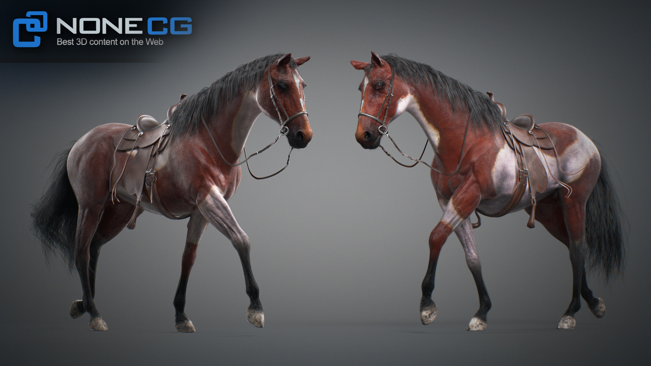 Animated Horses v5 3D model_72