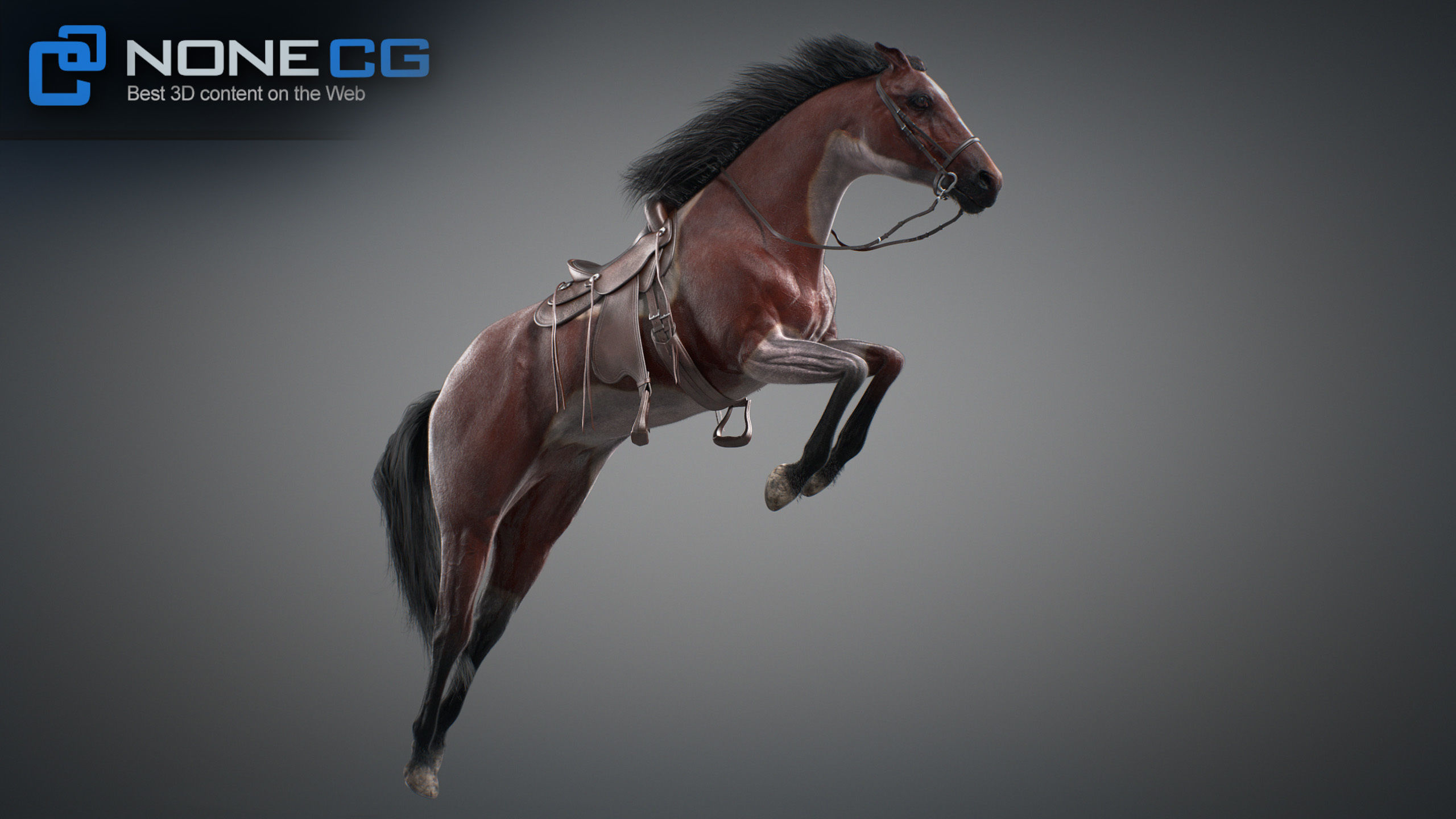 Animated Horses v5 3D model_58