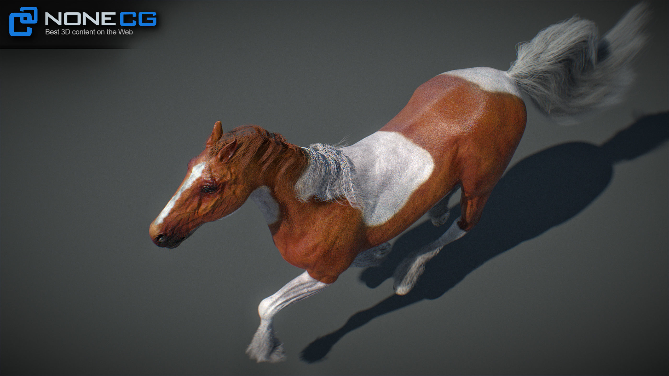 Animated Horses v5 3D model_35