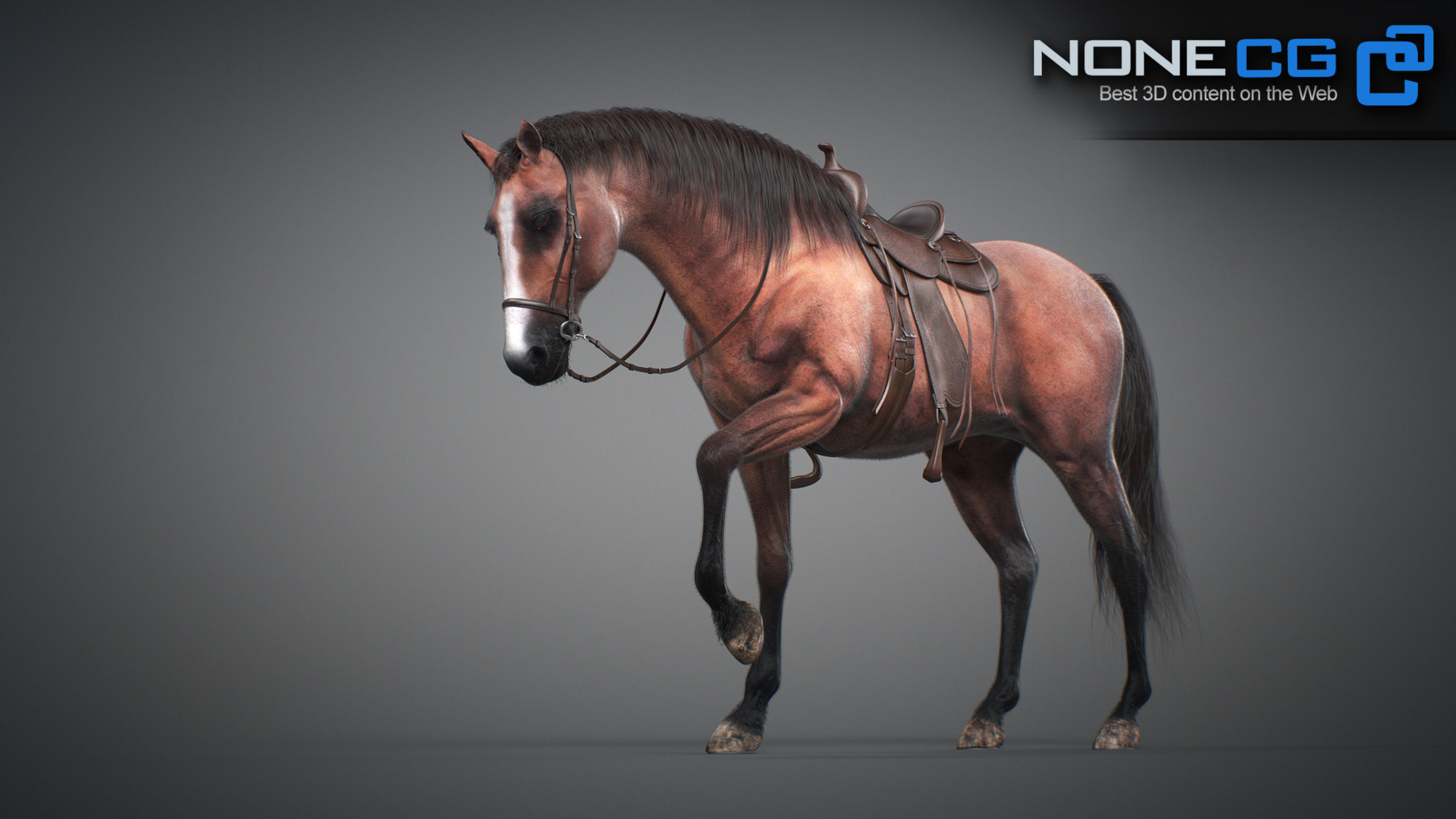 Animated Horses v5 3D model_51