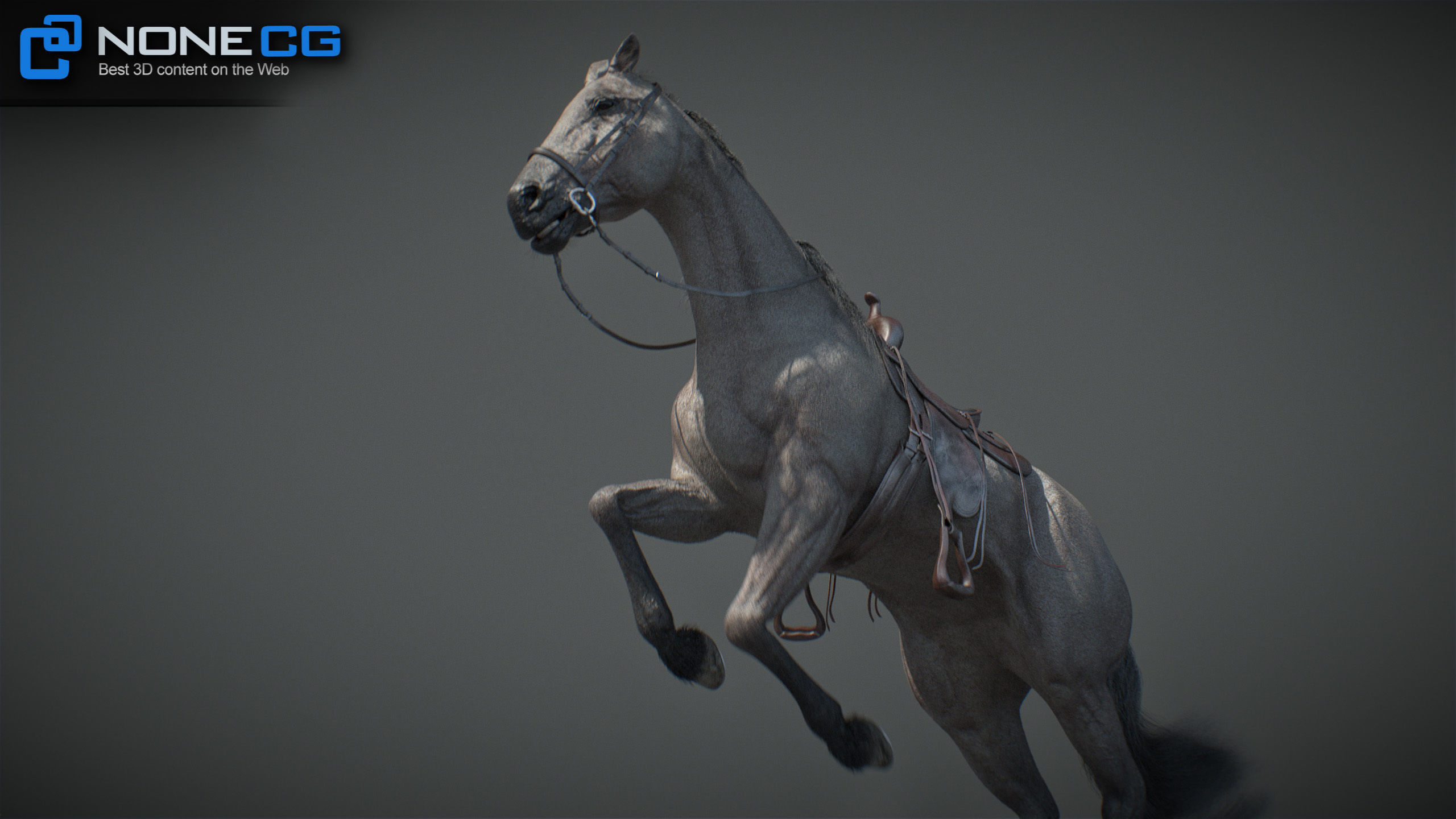 Animated Horses v5 3D model_30