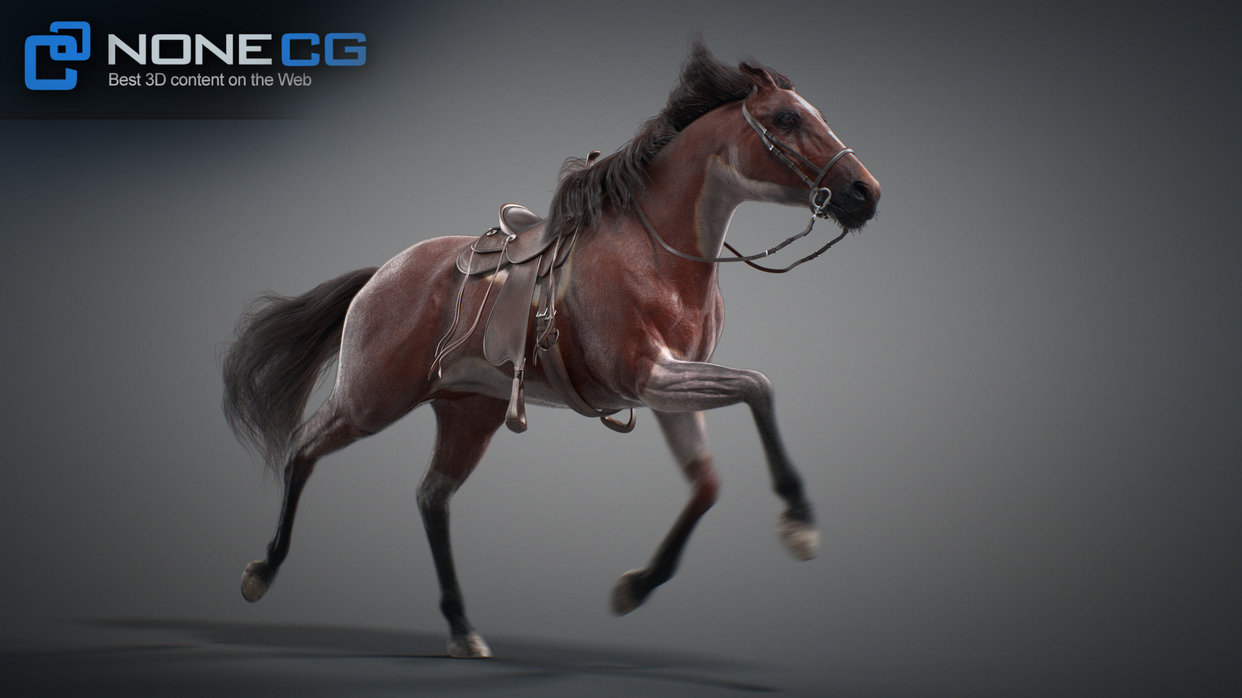 Animated Horses v5 3D model_20