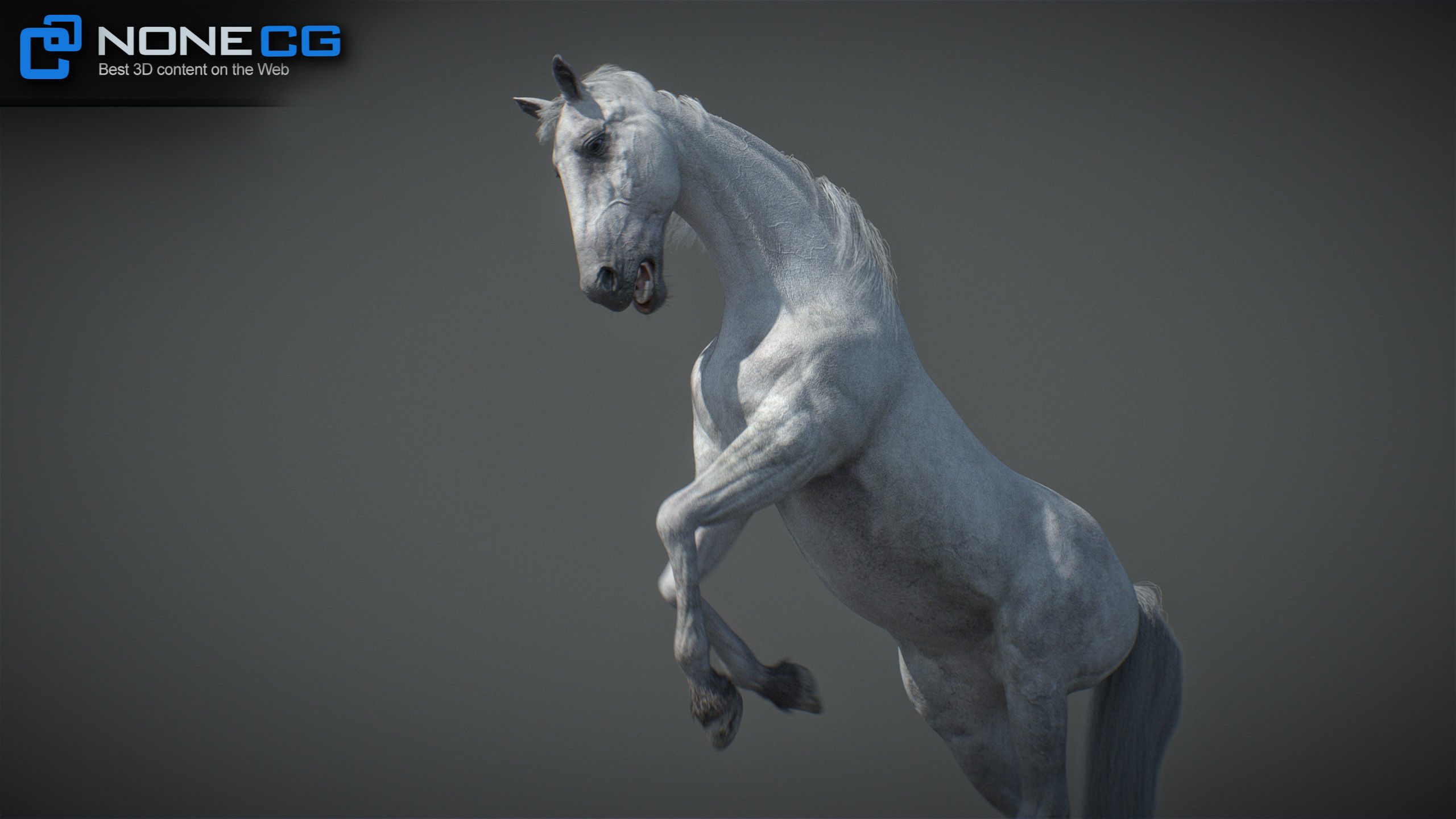 Animated Horses v5 3D model_53