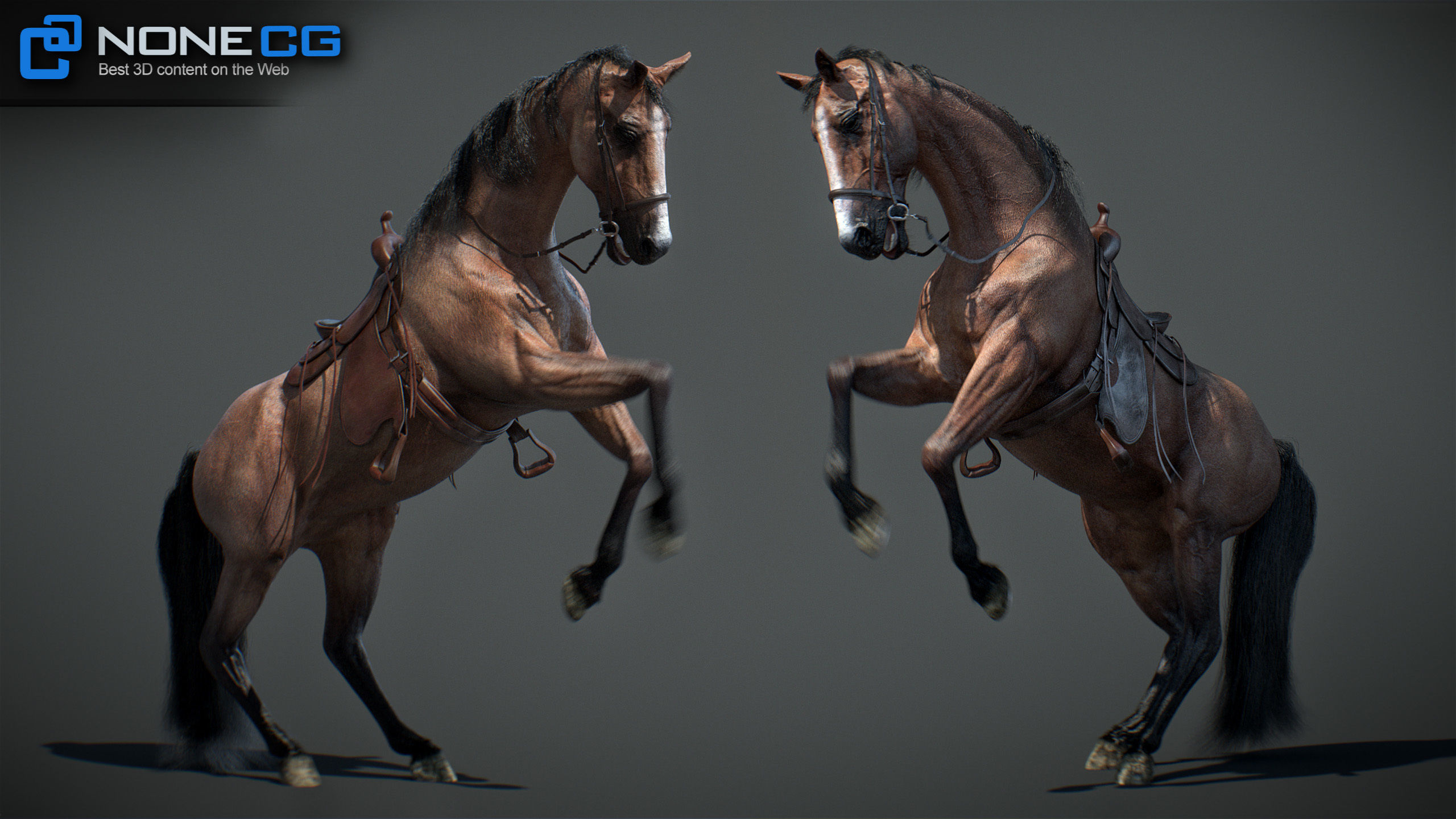 Animated Horses v5 3D model_26