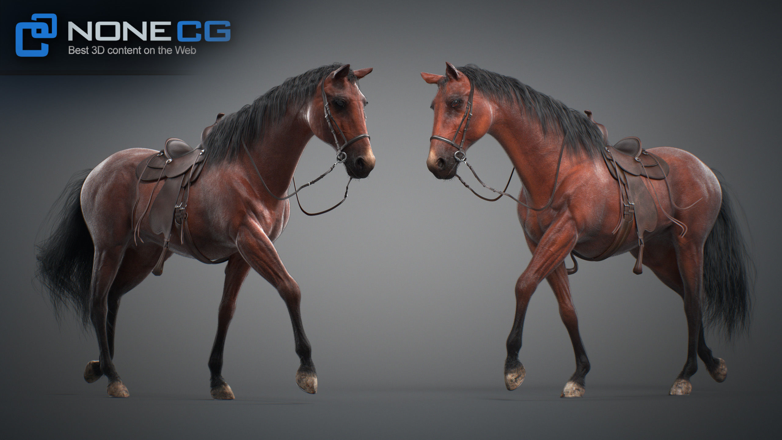 Animated Horses v5 3D model_69