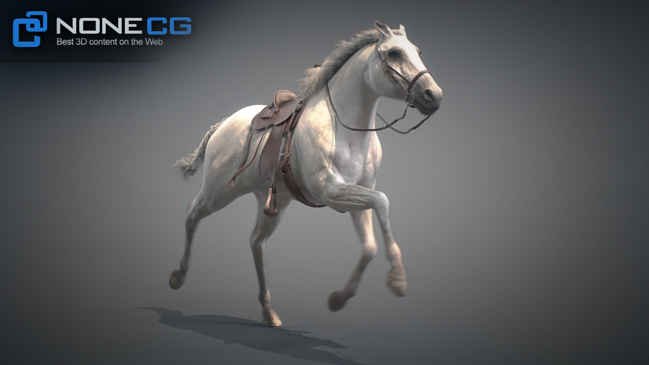 Animated Horses v5 3D model_38