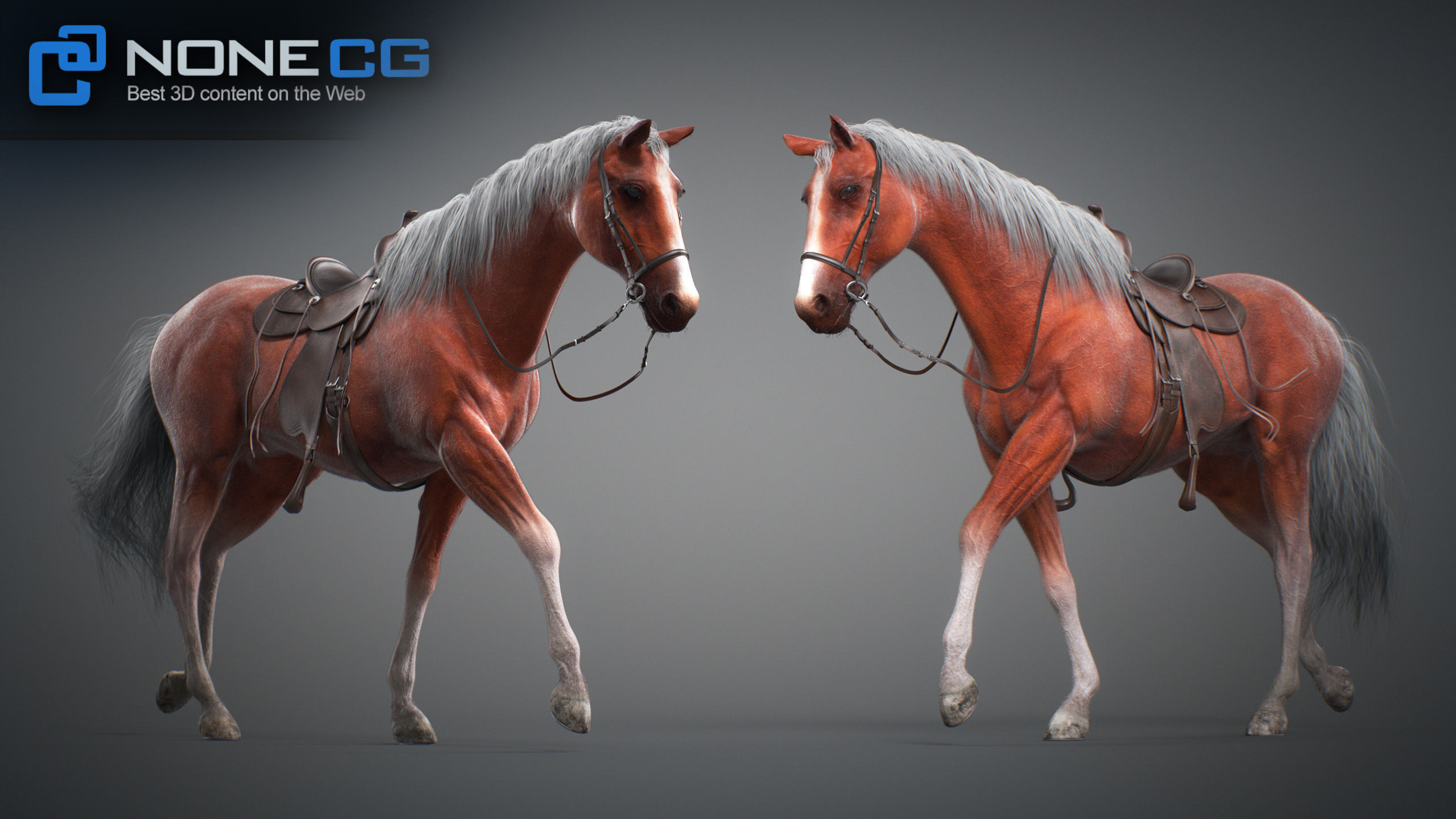 Animated Horses v5 3D model_61