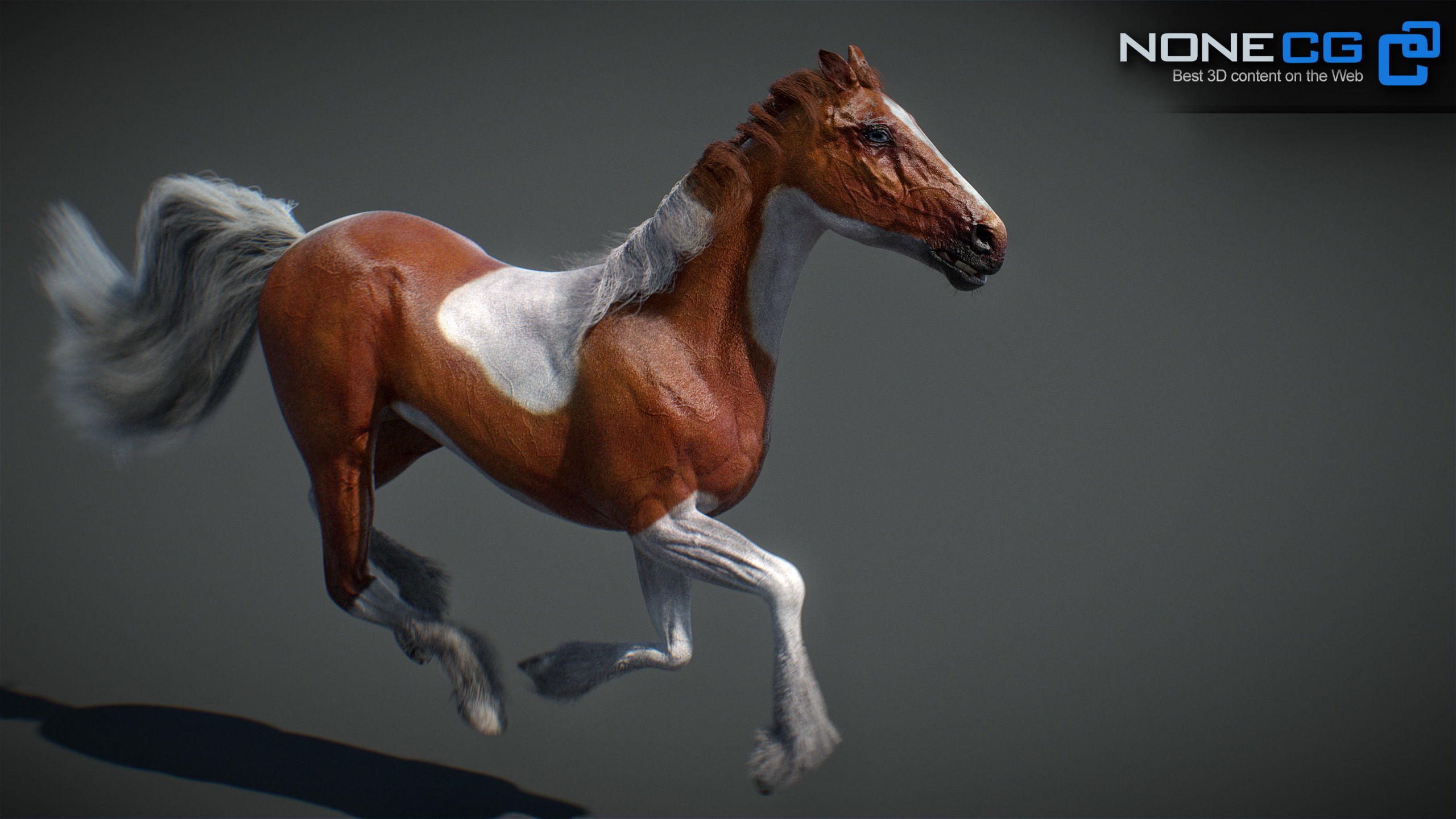 Animated Horses v5 3D model_16