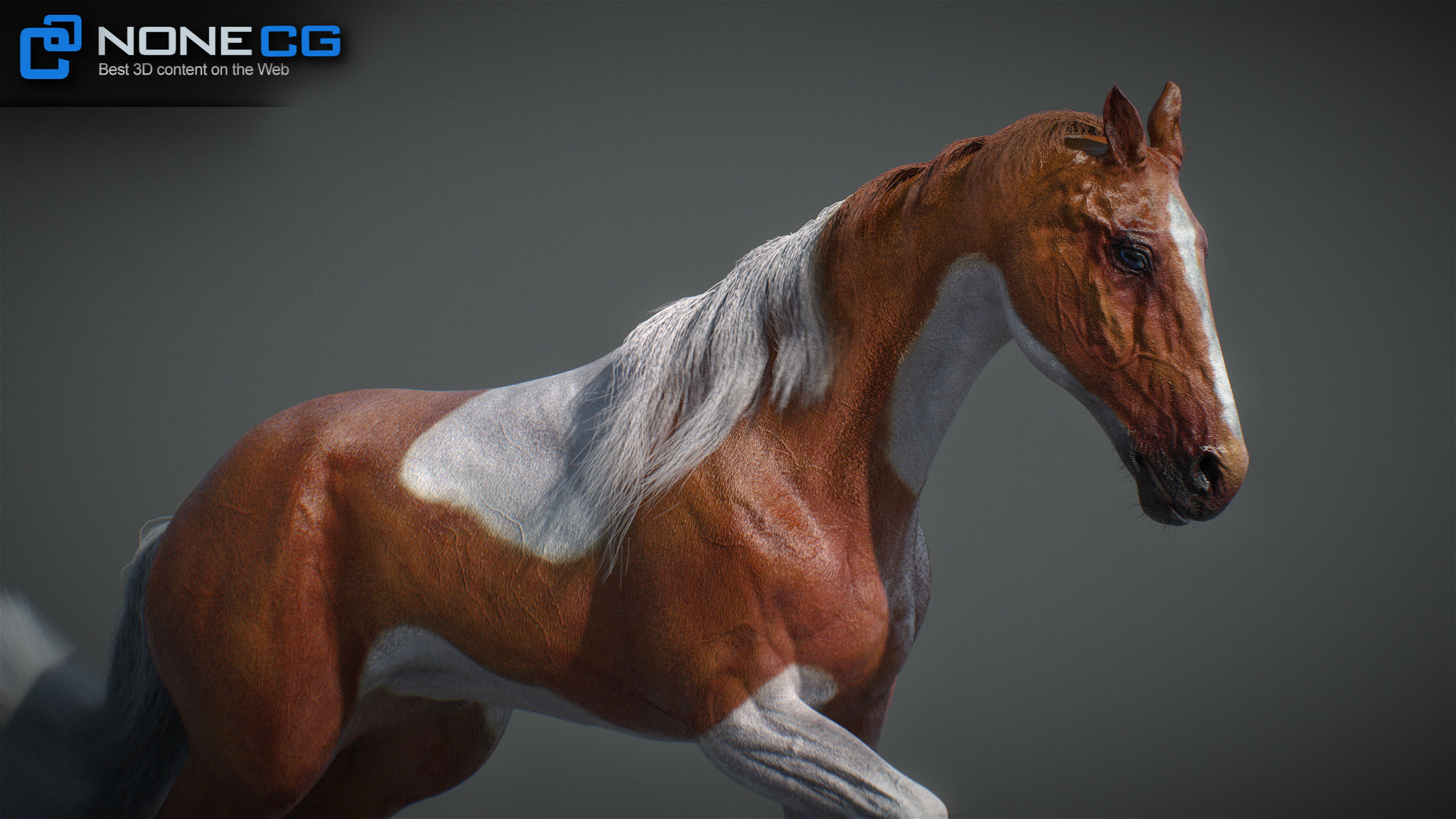 Animated Horses v5 3D model_31