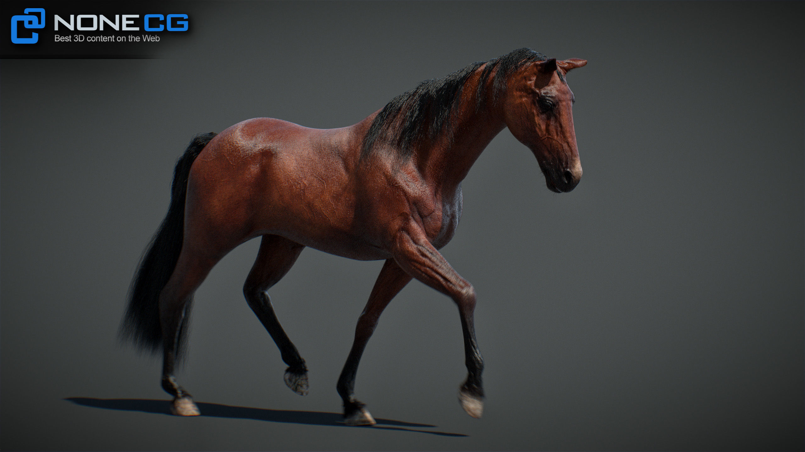 Animated Horses v5 3D model_40