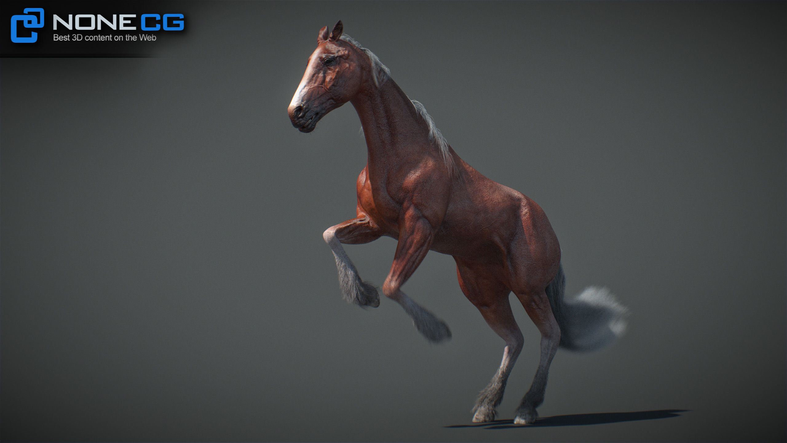 Animated Horses v5 3D model_57