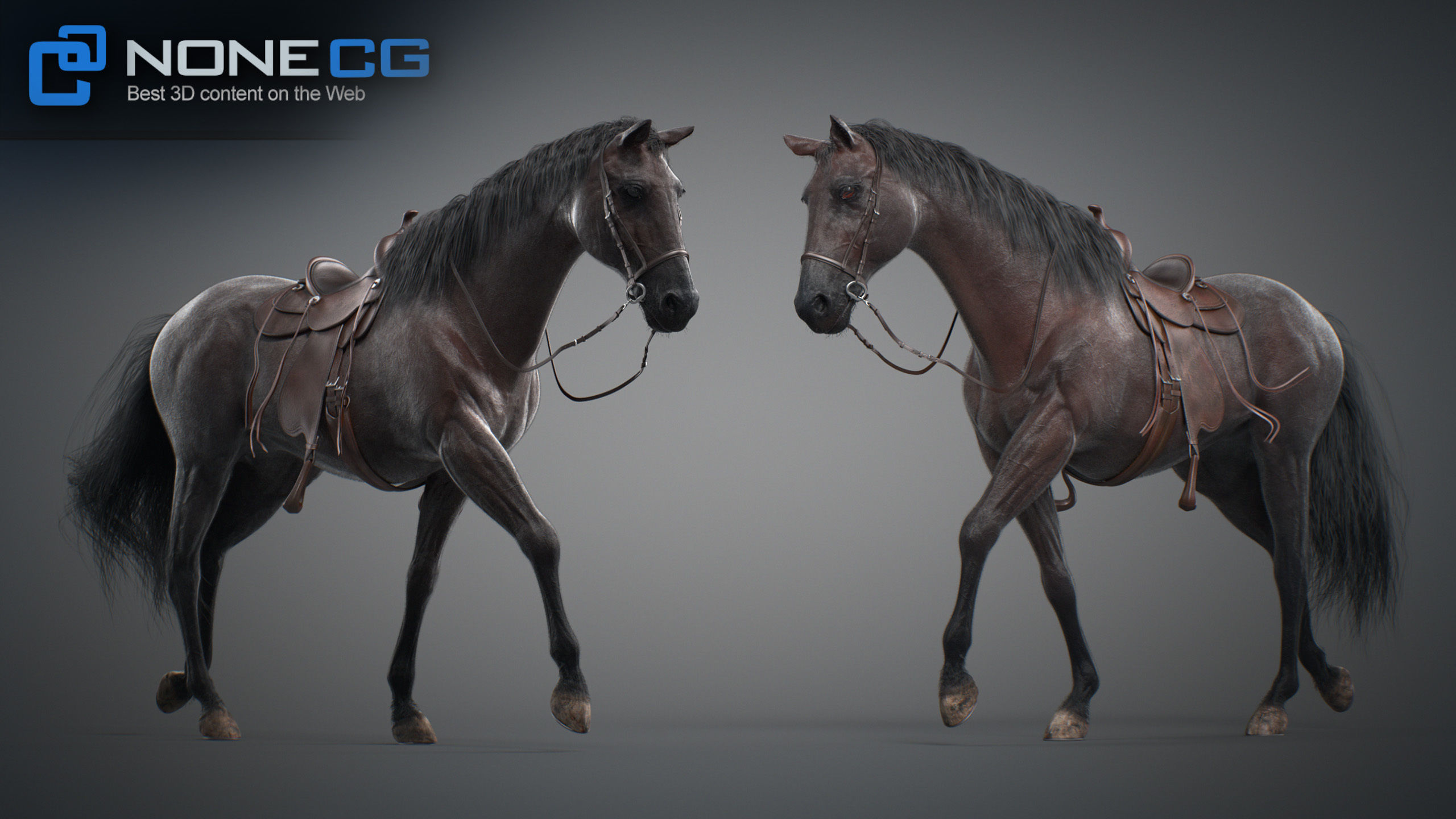 Animated Horses v5 3D model_66