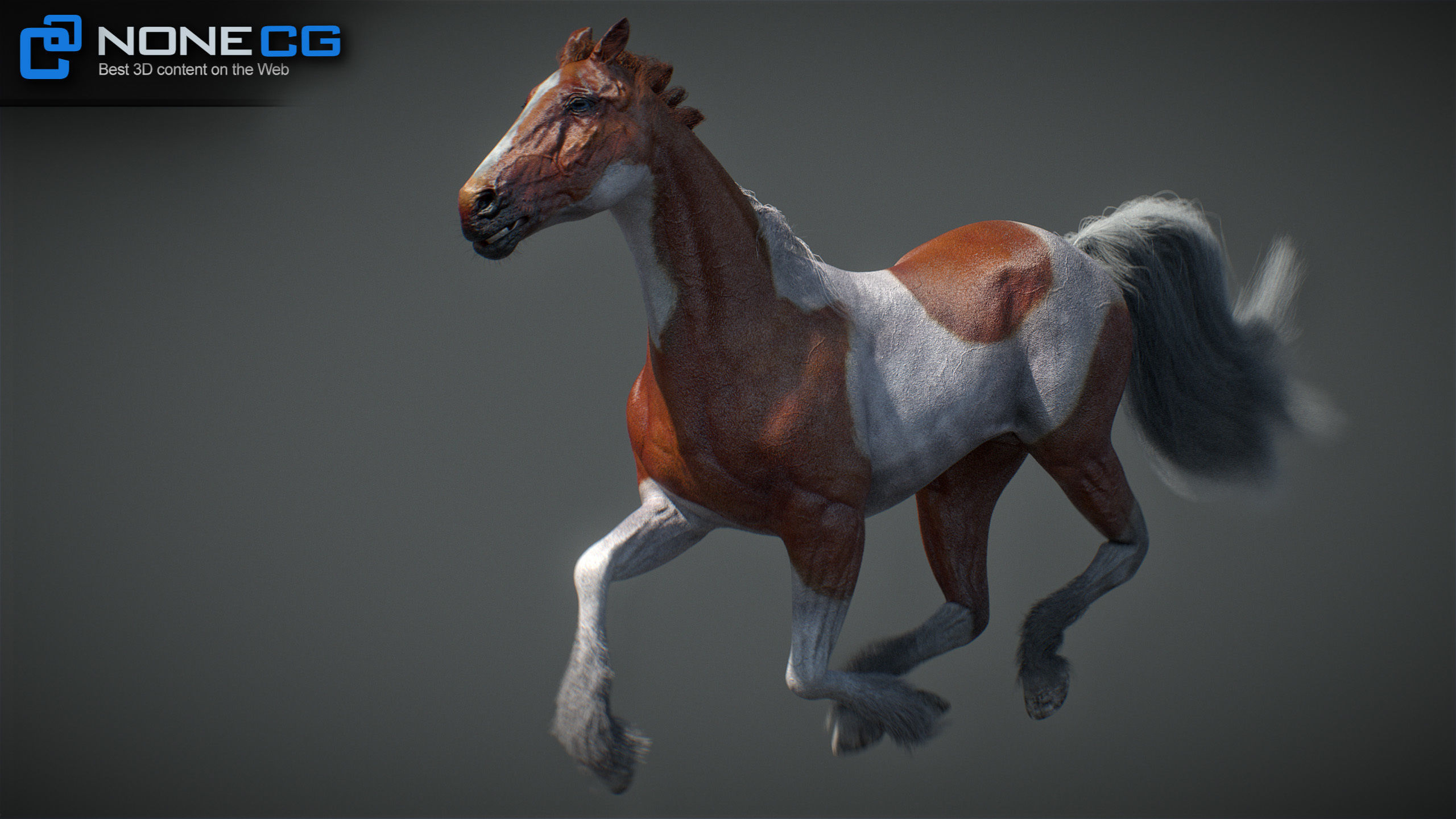 Animated Horses v5 3D model_9