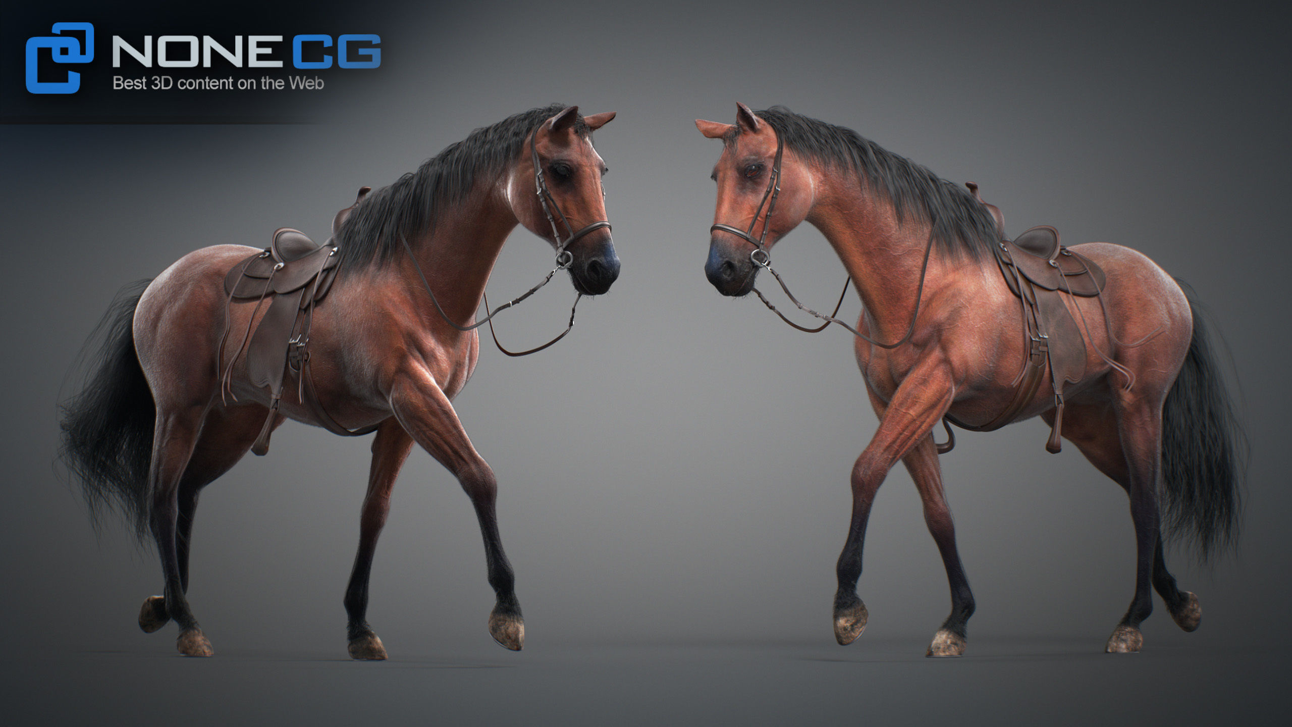 Animated Horses v5 3D model_68