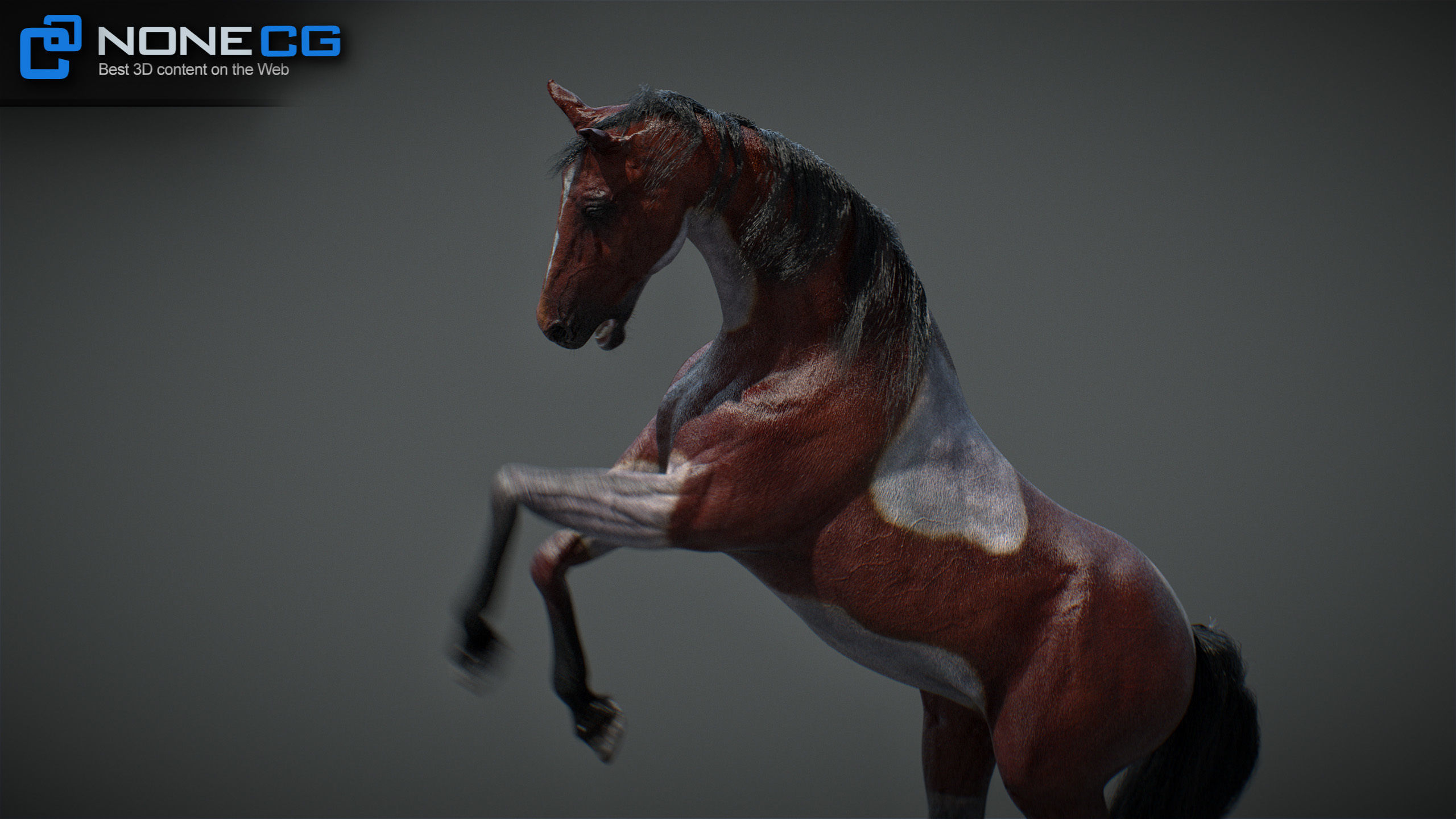 Animated Horses v5 3D model_55