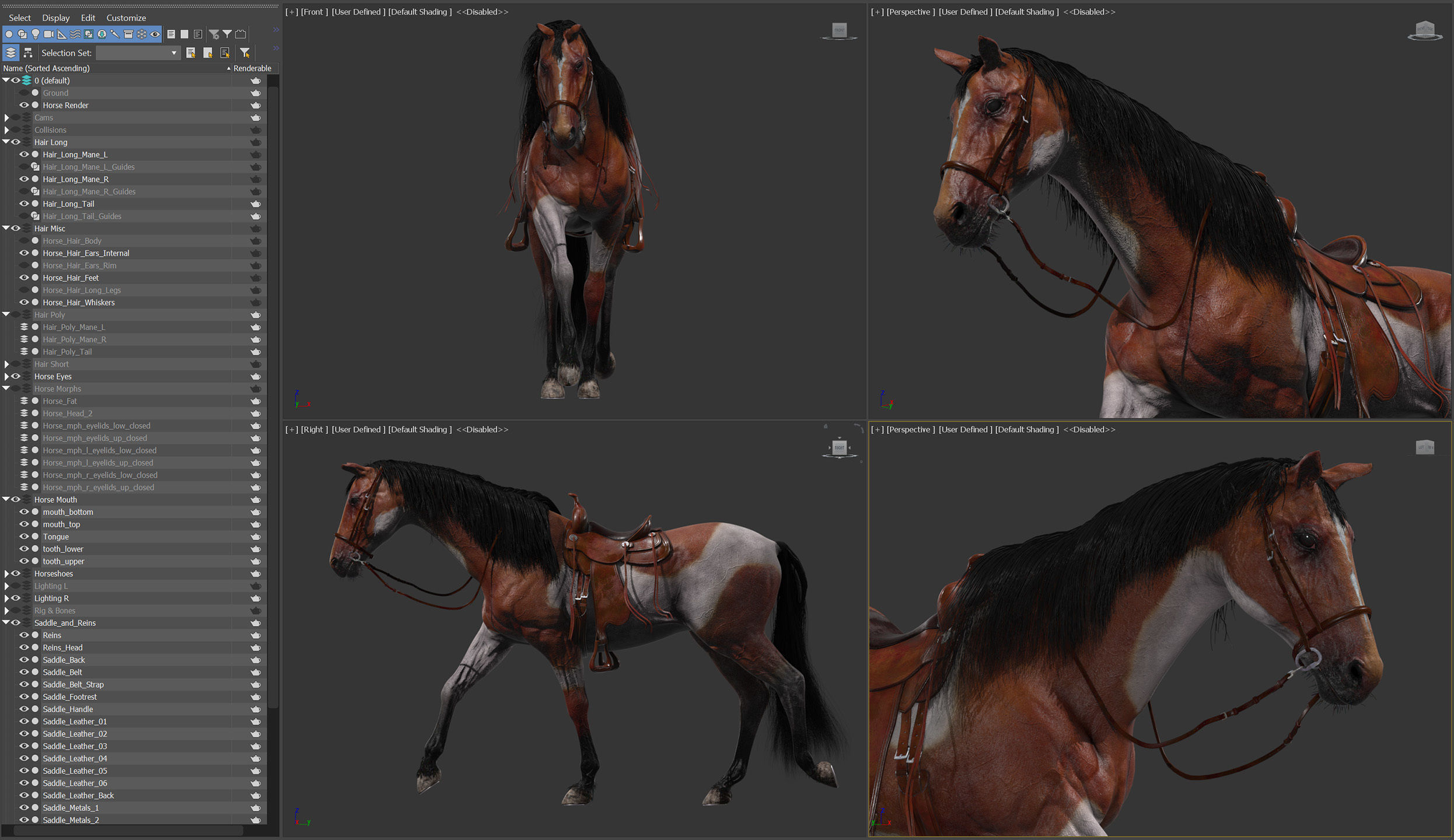 Animated Horses v5 3D model_10