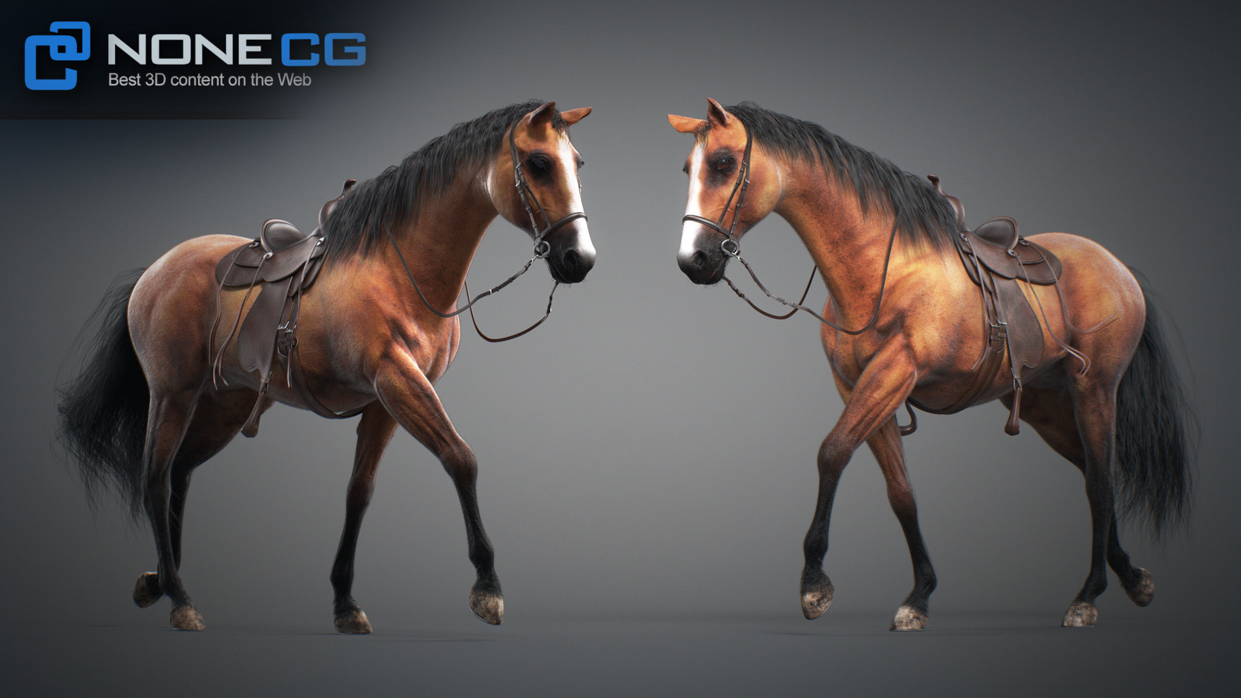 Animated Horses v5 3D model_62