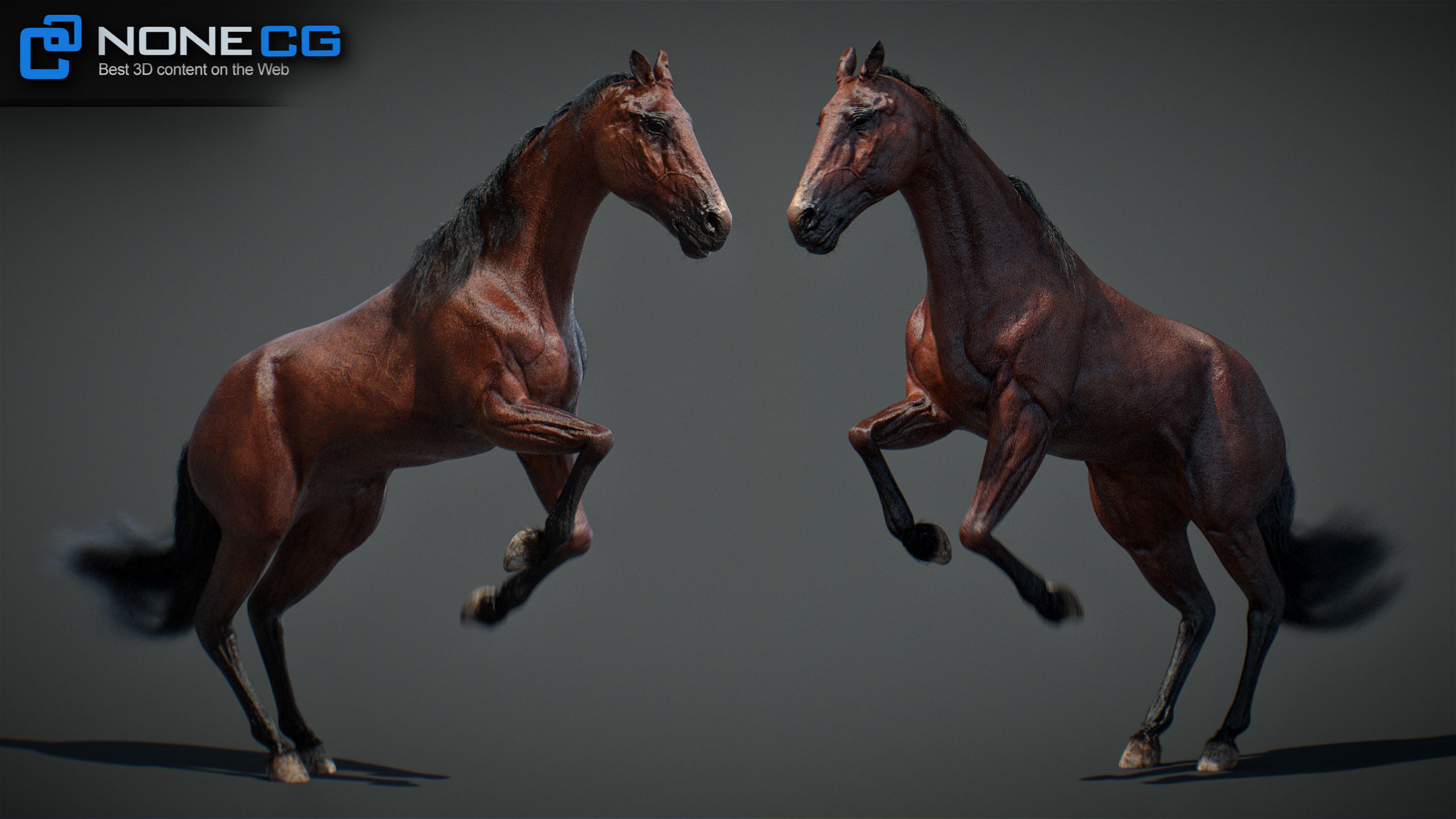 Animated Horses v5 3D model_6