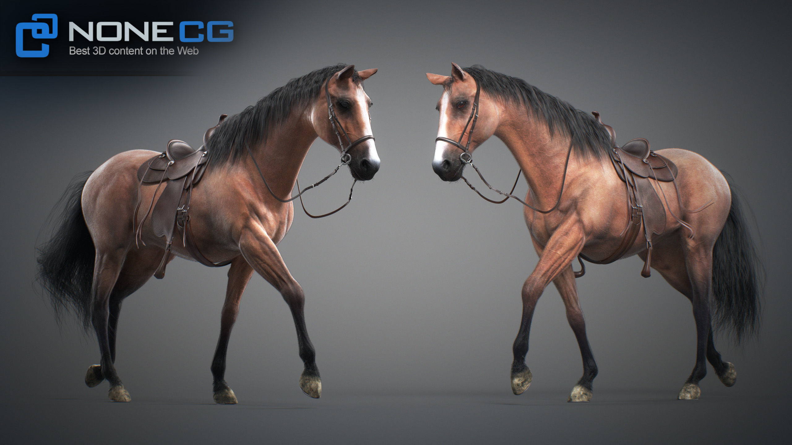 Animated Horses v5 3D model_65
