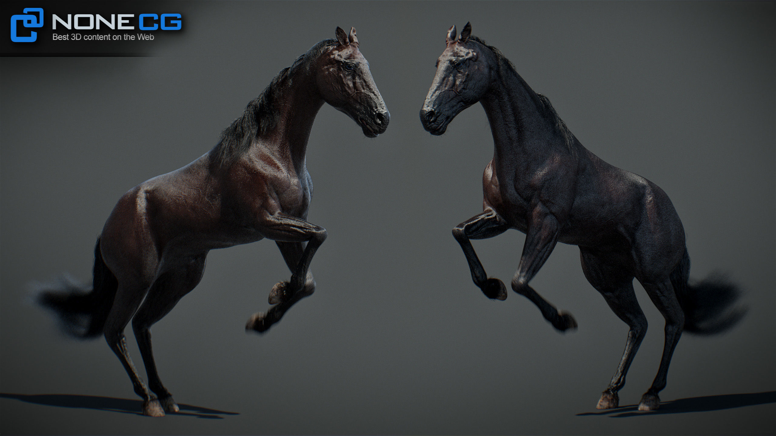 Animated Horses v5 3D model_44