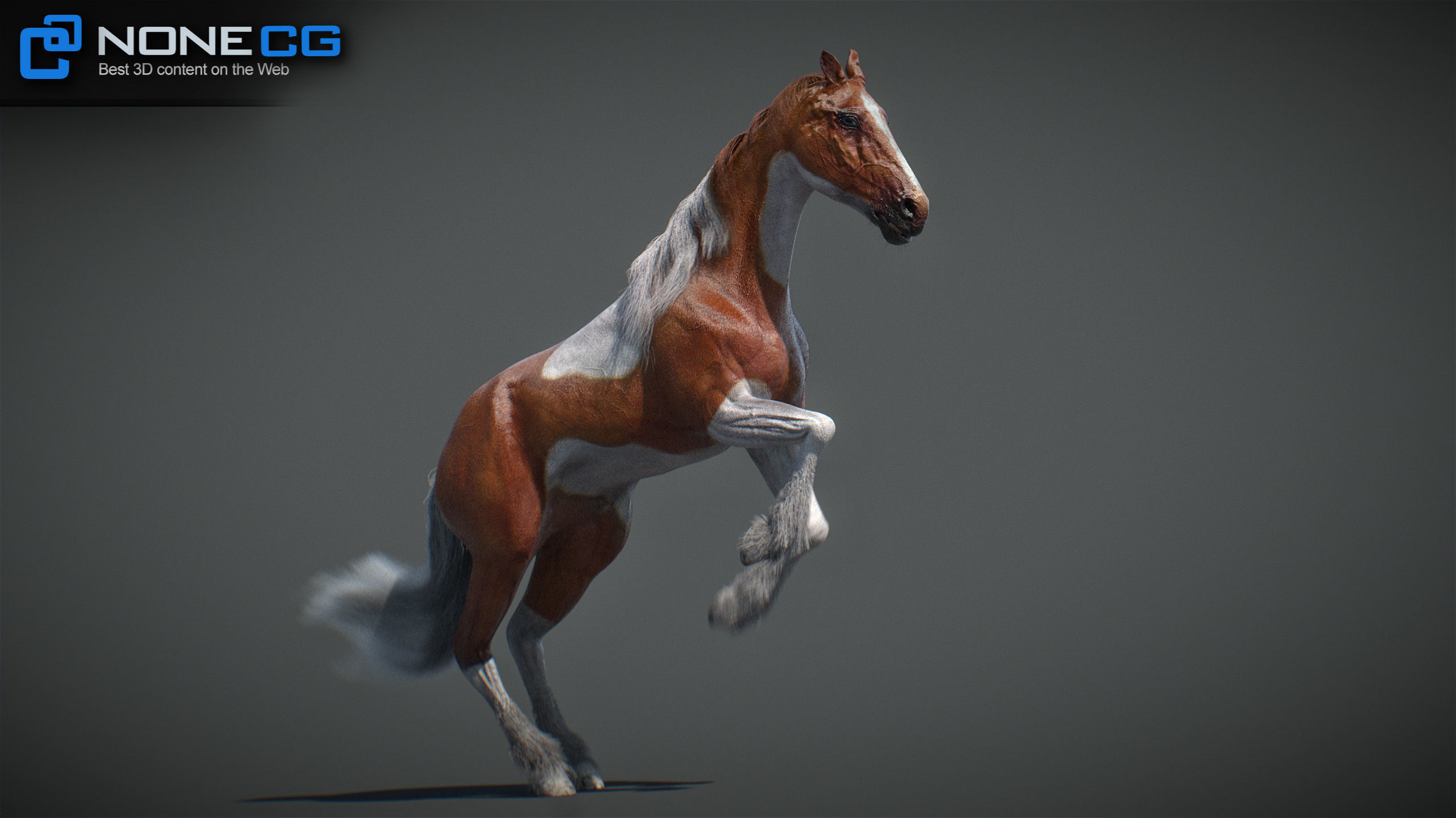 Animated Horses v5 3D model_48