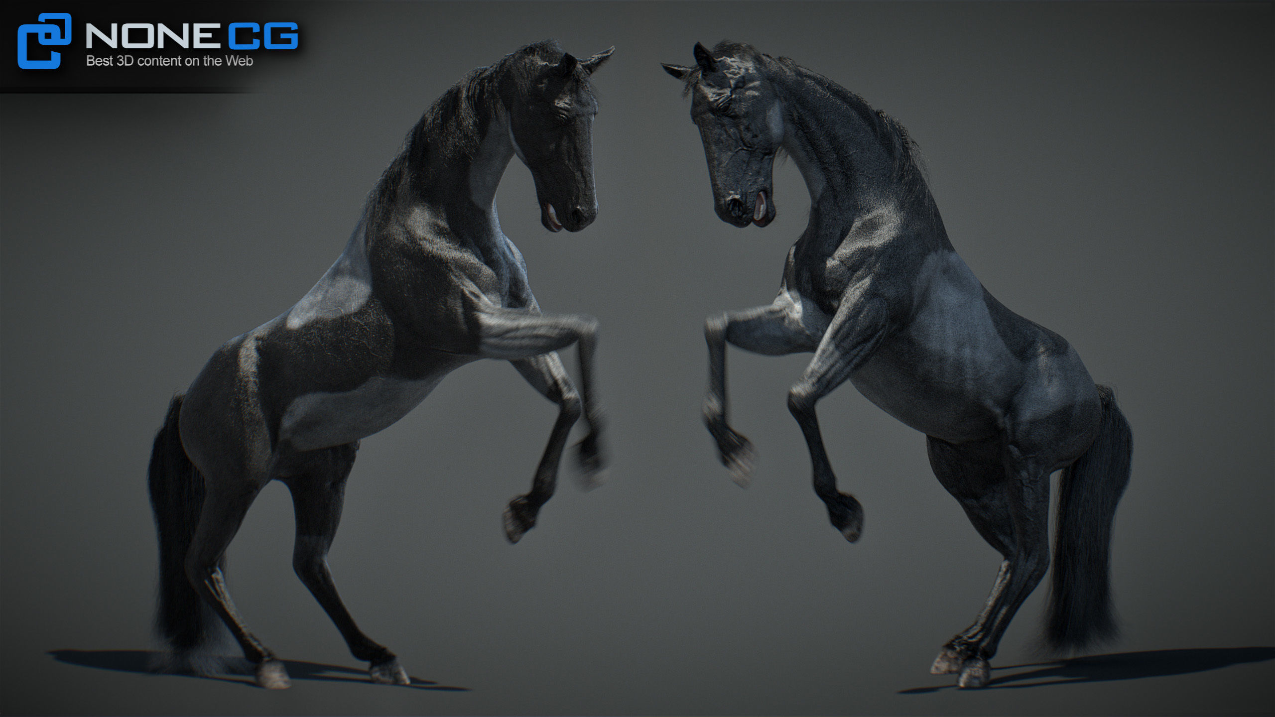 Animated Horses v5 3D model_32