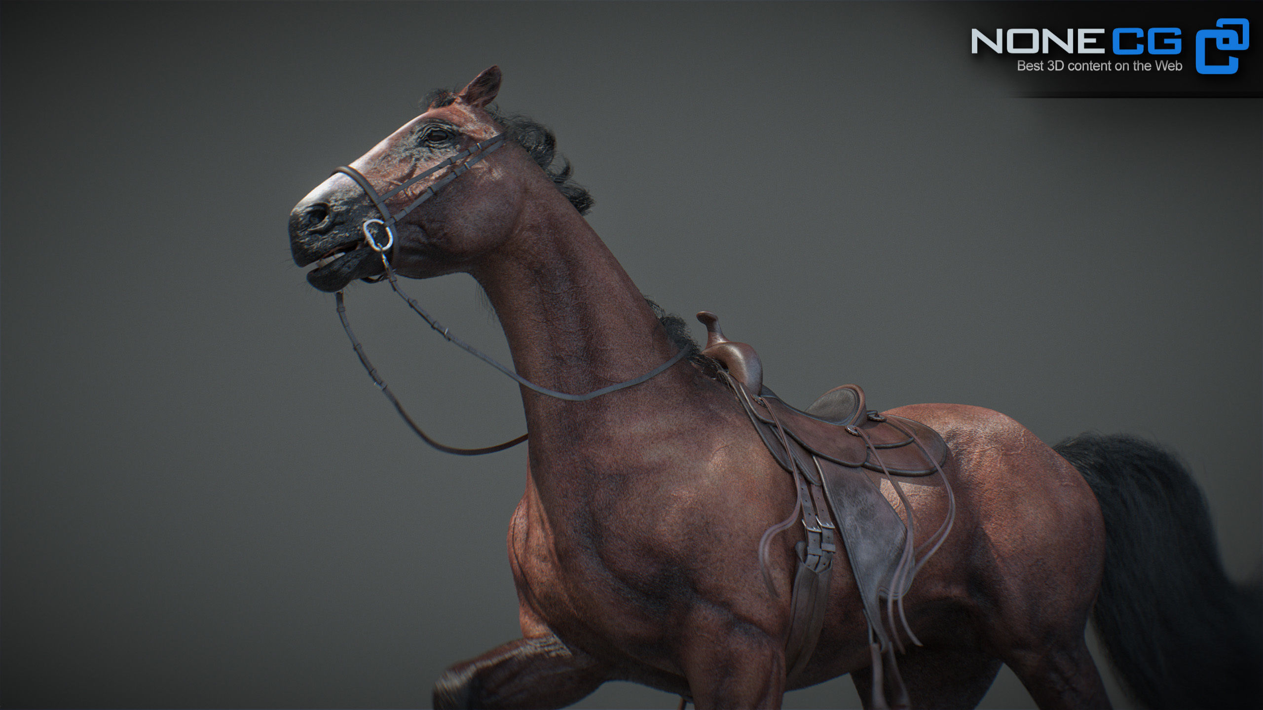 Animated Horses v5 3D model_19